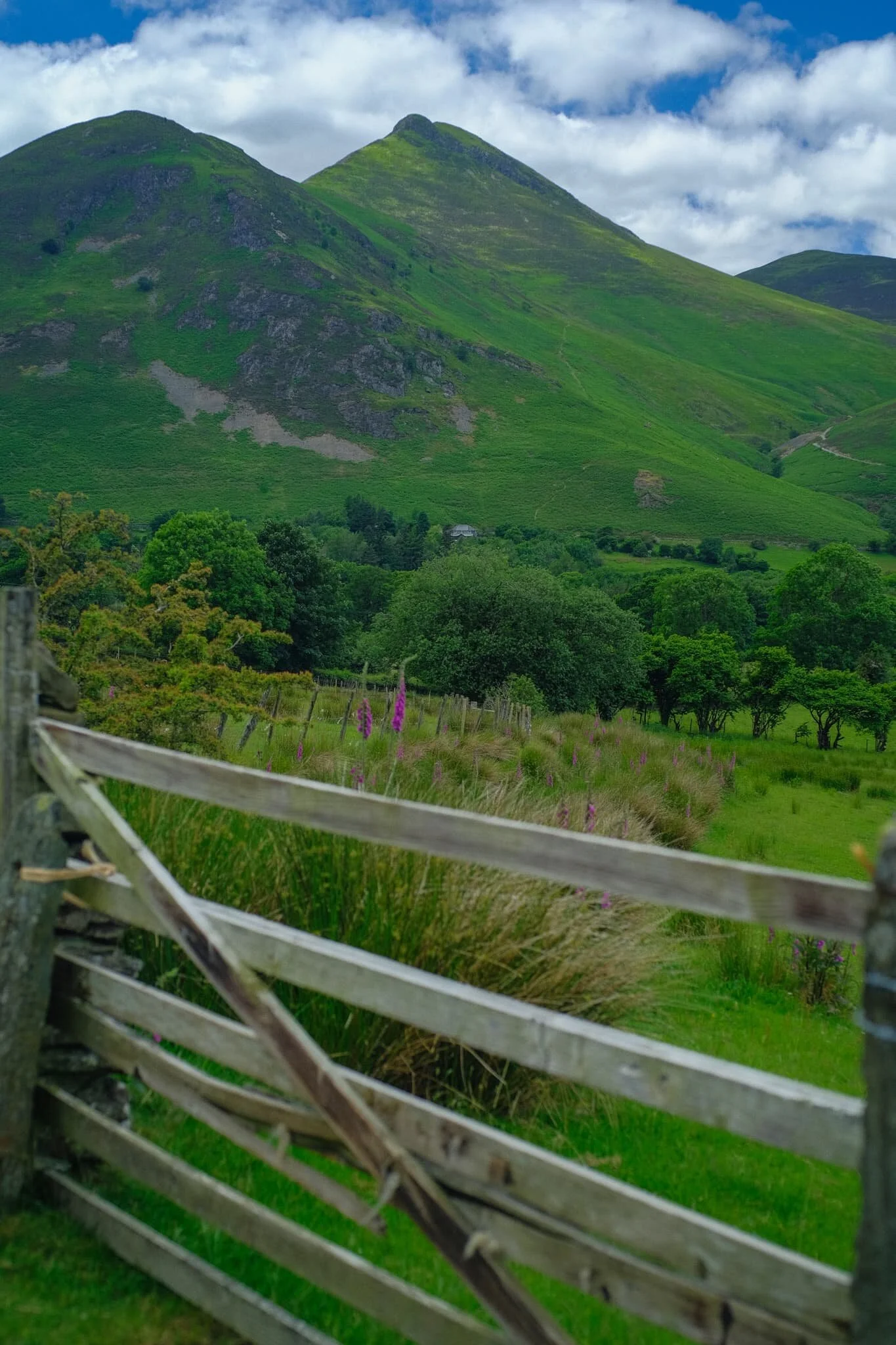  One of Keswick&rsquo;s more familiar sights is the knobbly profile of Causey Pike (637 m/2,090 ft). 