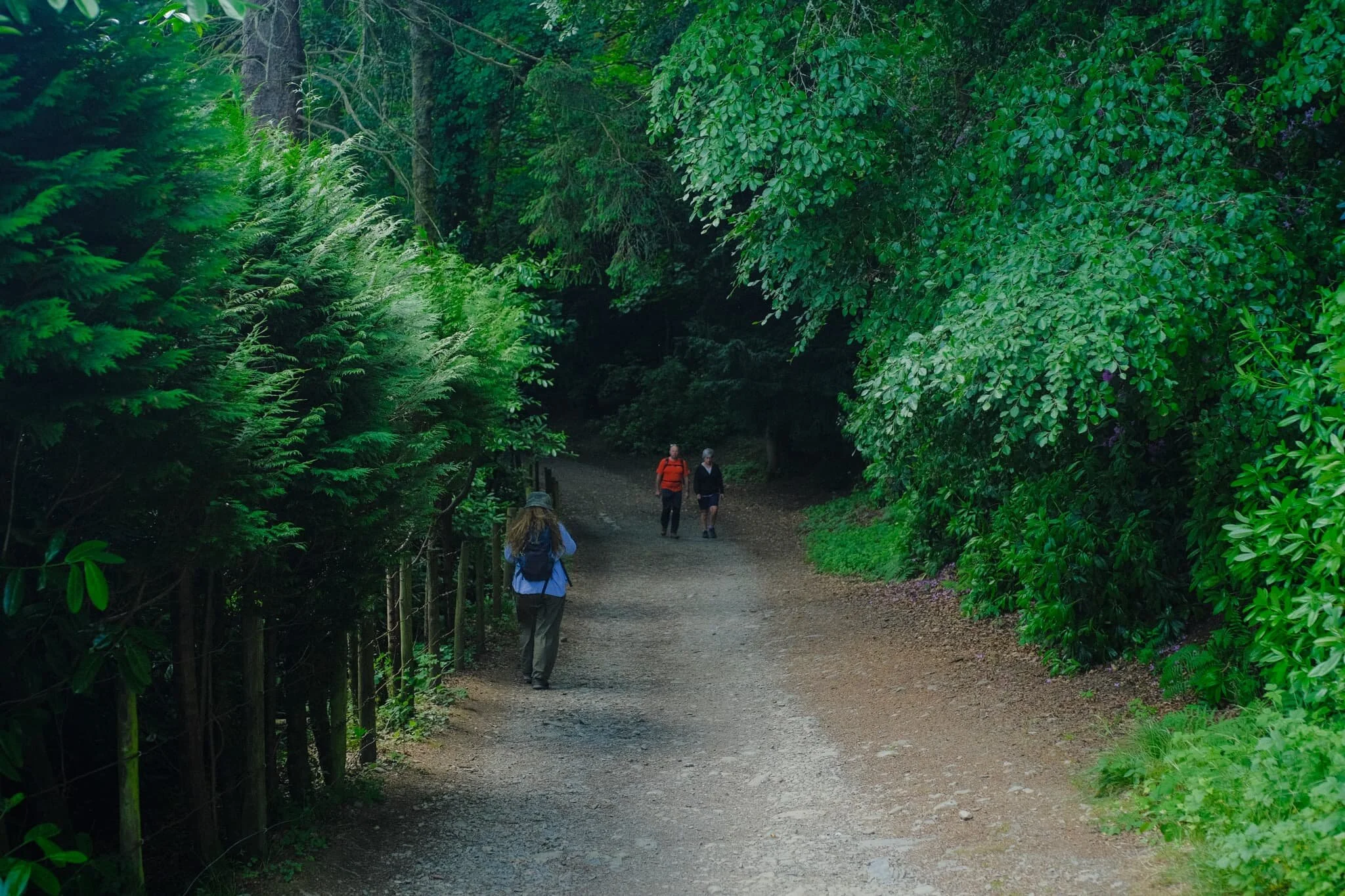  Just south of the village of Portinscale, you enter a heavily wooded area. This is all part of the  Lingholm Estate , the centre of which is a Victorian mansion built in the 1870s by Alfred Waterhouse. 