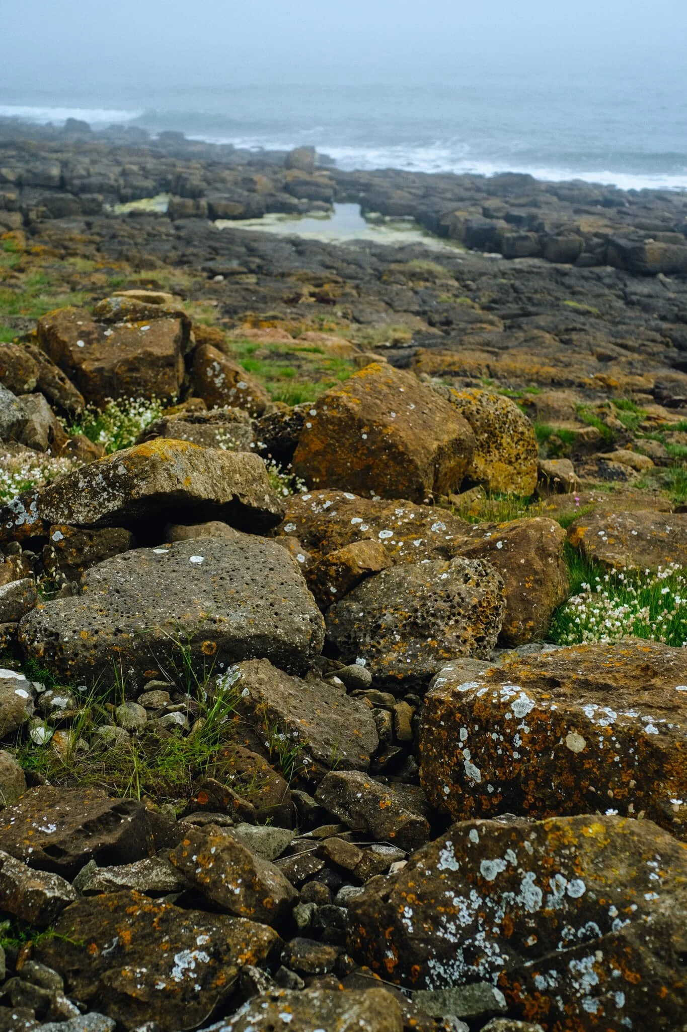  North of the village we break away from St. Oswald&rsquo;s Way and take the private road east towards the coastline, curious to see what was here. 