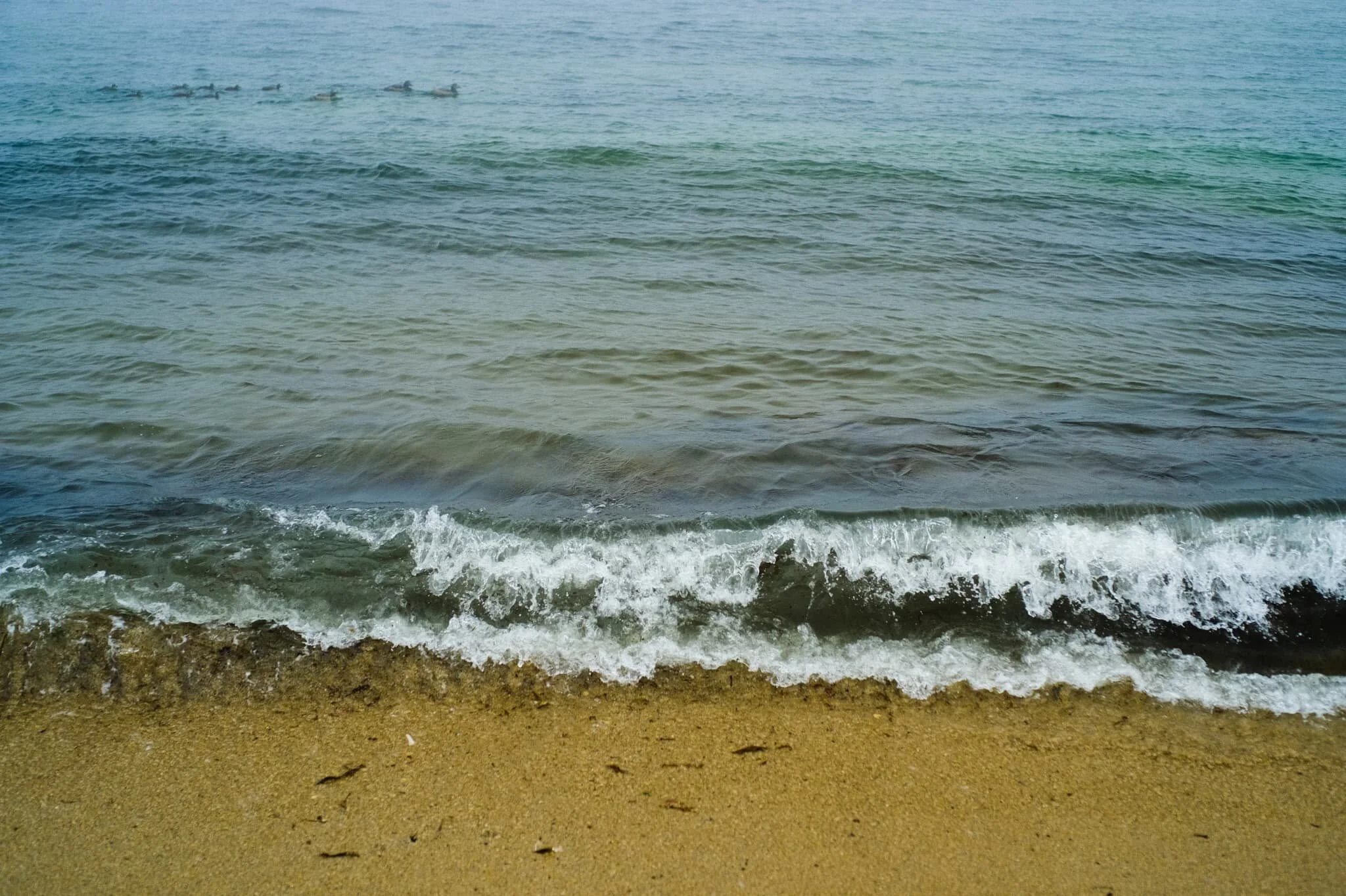  From Newton Point we dropped down to the beach northwards known, interestingly, as Football Hole. 