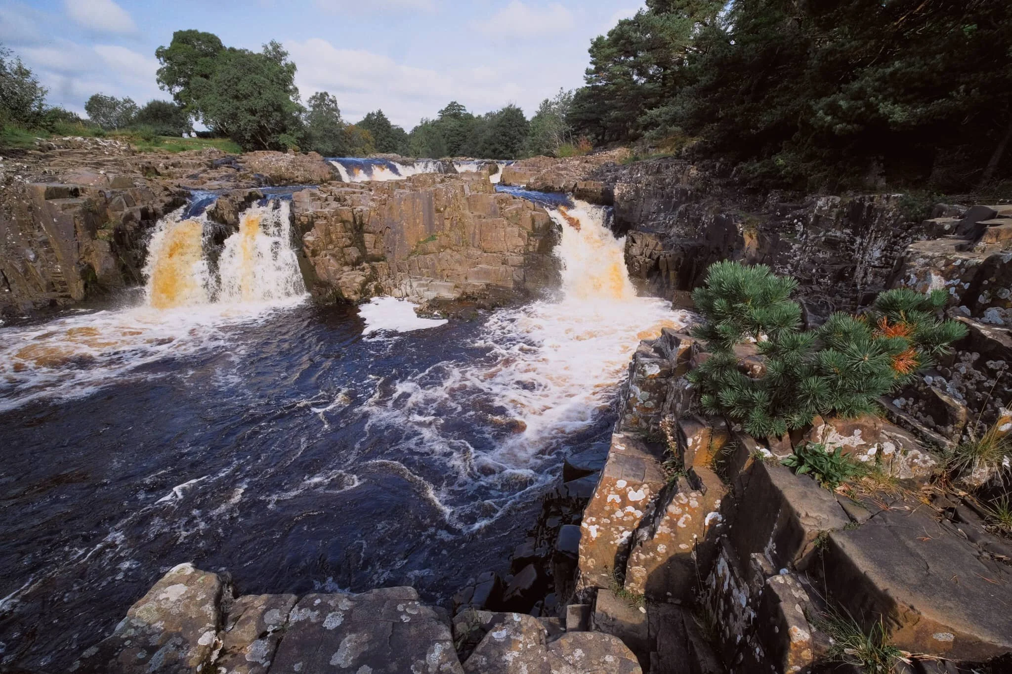  The twin falls of Low Force. Not necessarily all that tall, but powerful and loud. 