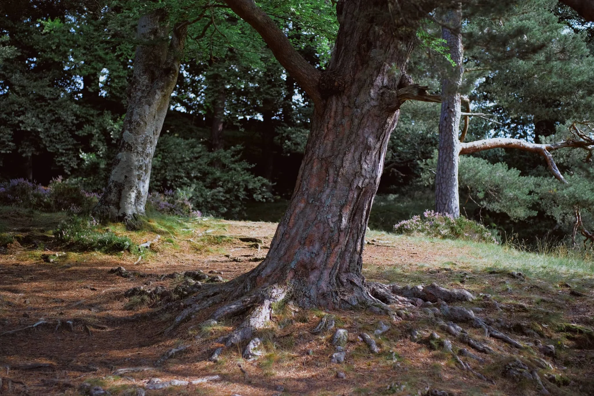  The conditions and light were beautiful. Not too harsh. Autumn&rsquo;s definitely on the way. 