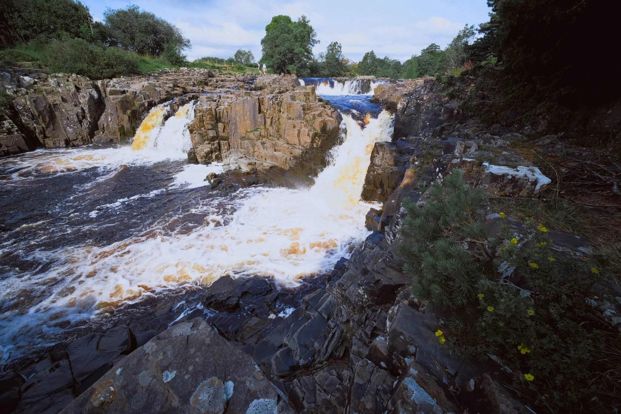  I clambered around the columns and cliffs of whin sill to get to the northern bank of the Tees for this view of the main falls of Low Force. The morning&rsquo;s light was wonderful and I didn&rsquo;t want to miss out. 