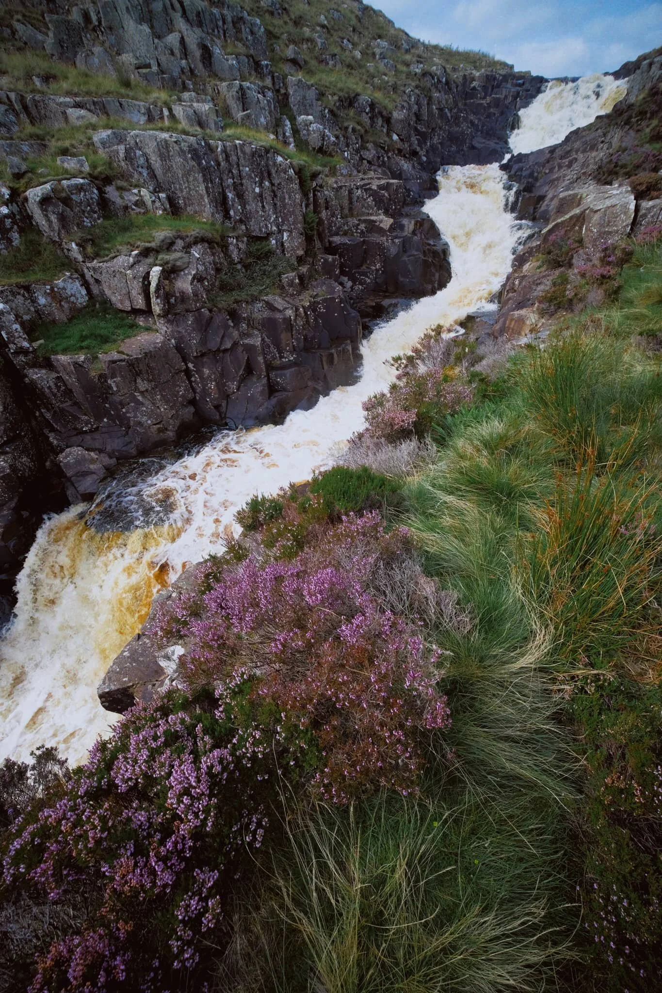  As the gorge sheltered us from the wind, this provided the necessary moist and still conditions for clouds of midges to form  everywhere . They duly took advantage and started ravaging our bare flesh. 