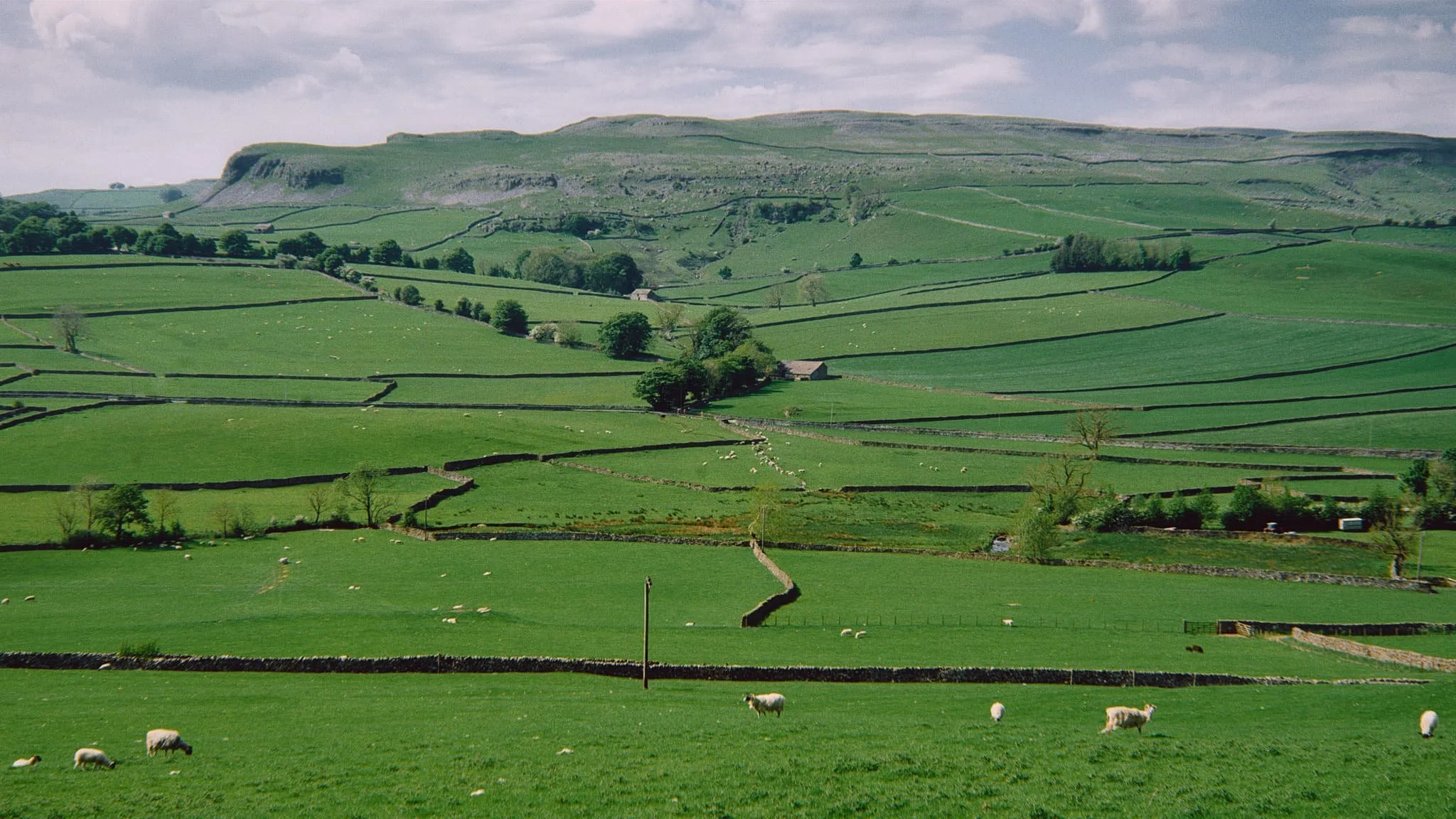  We followed Wood Lane as the trail started to ascend. Looking back across the segmented fields towards Robin Proctor&rsquo;s Scar and the Norber Erratics. 