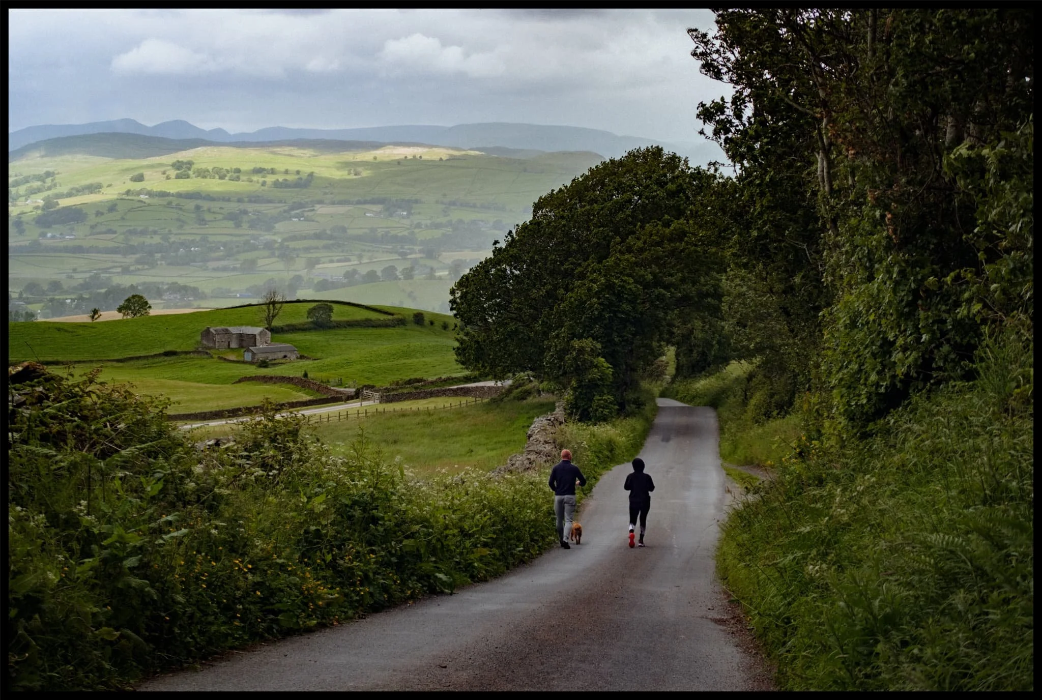  The dog walkers ahead quickly donned their hoodies as the gentle pitter-patter of rain started to fall. 
