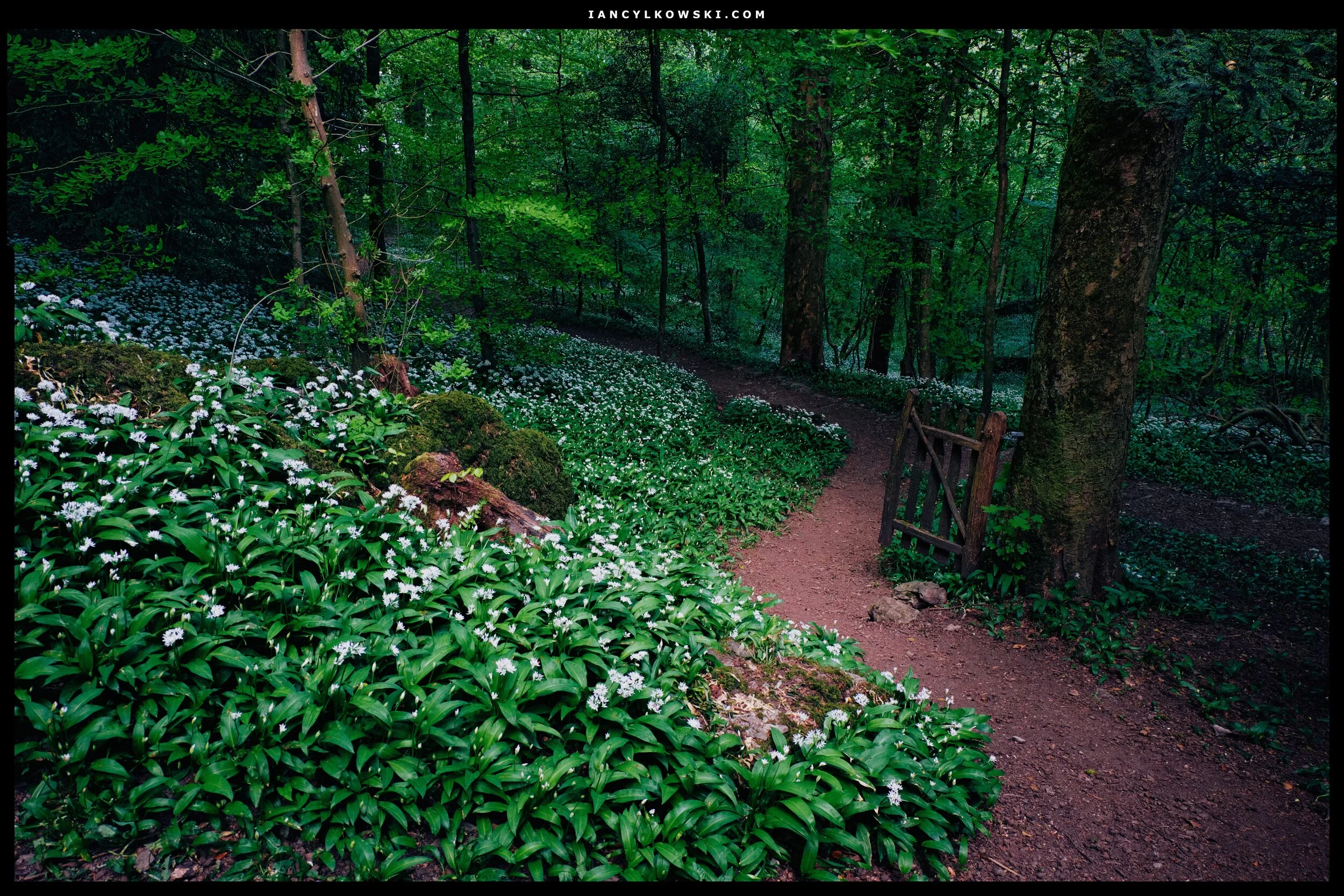 Dscf1098_Export Frame