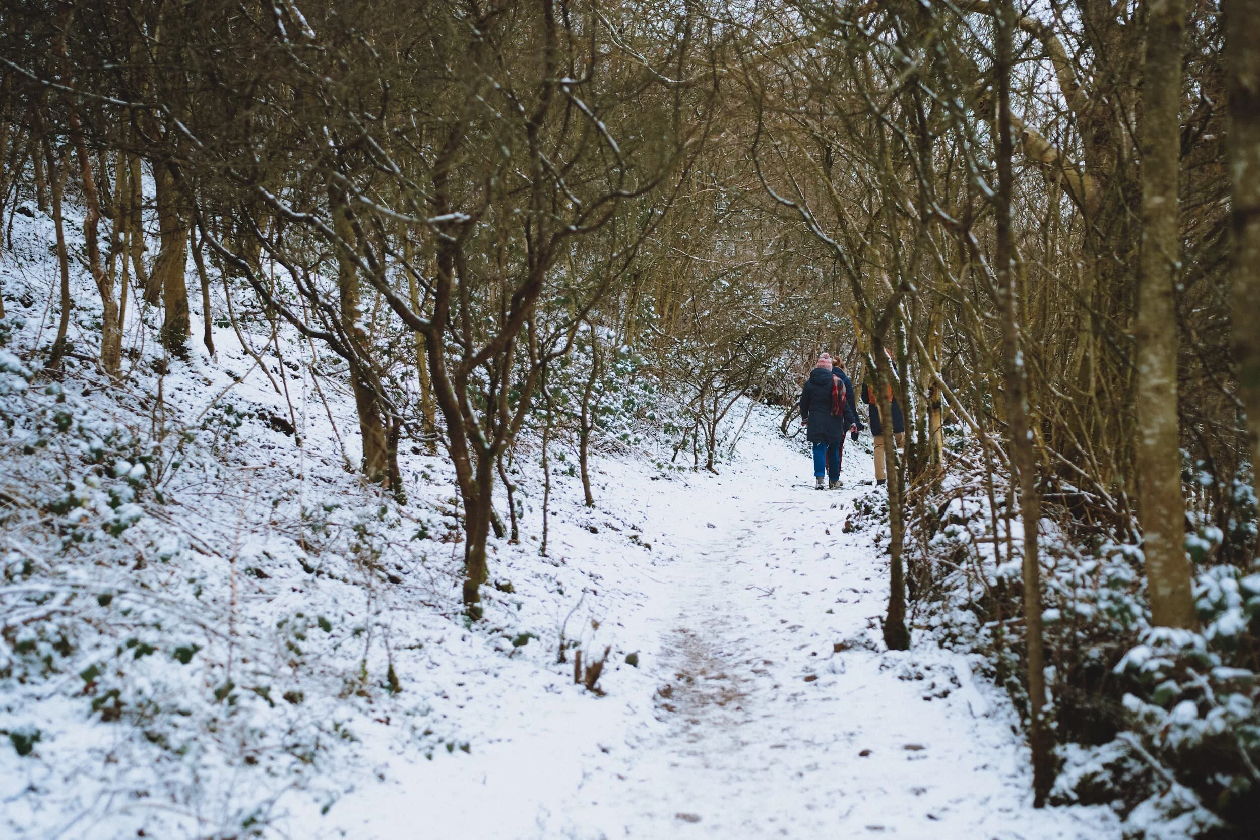 Navigating through the woodland below Helsfell Nab. 