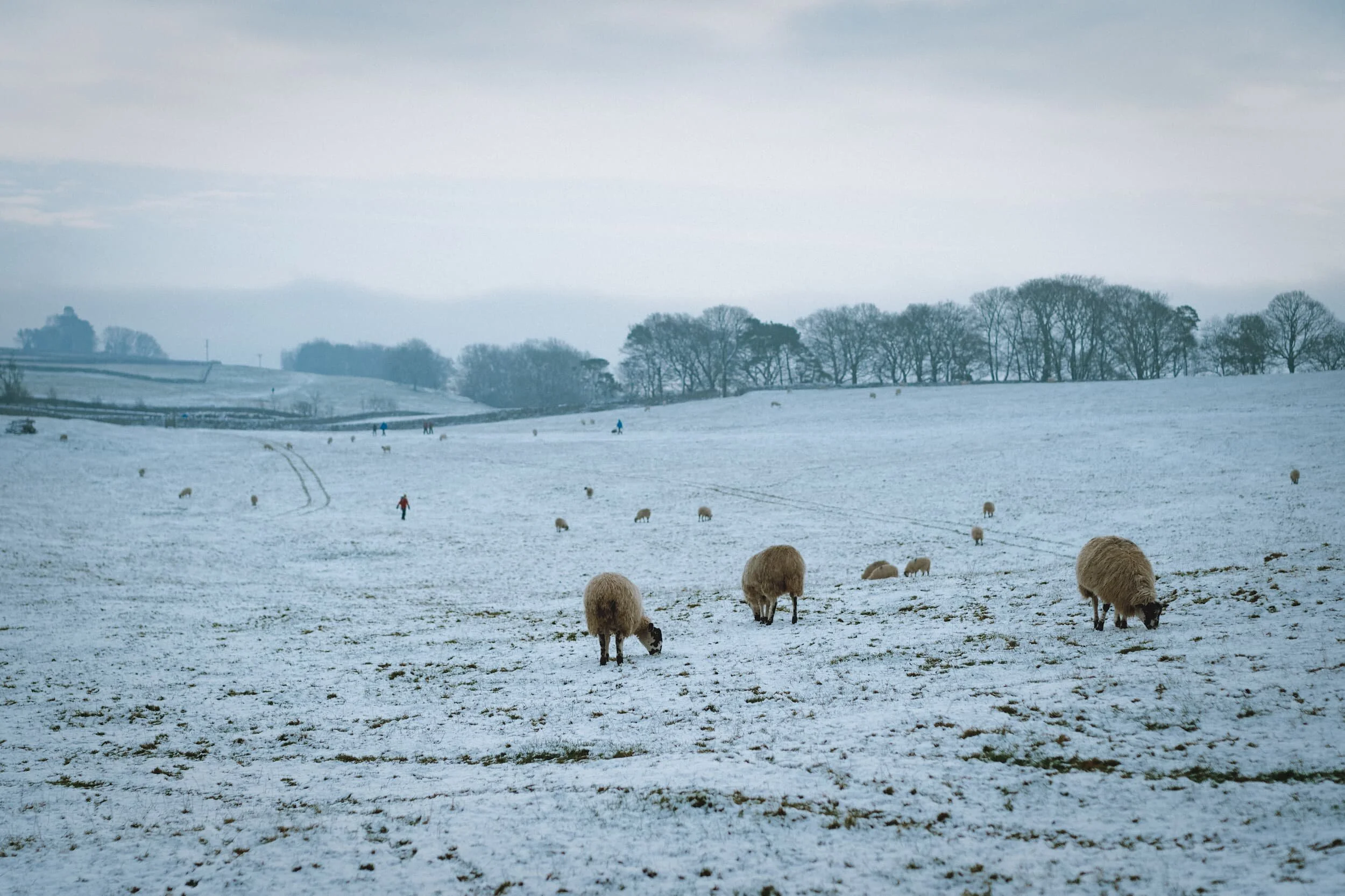  We skirt around the lower slopes of Cunswick Fell to head towards Plumgarths Farm Shop. A beautiful Cumbrian winter scene. 