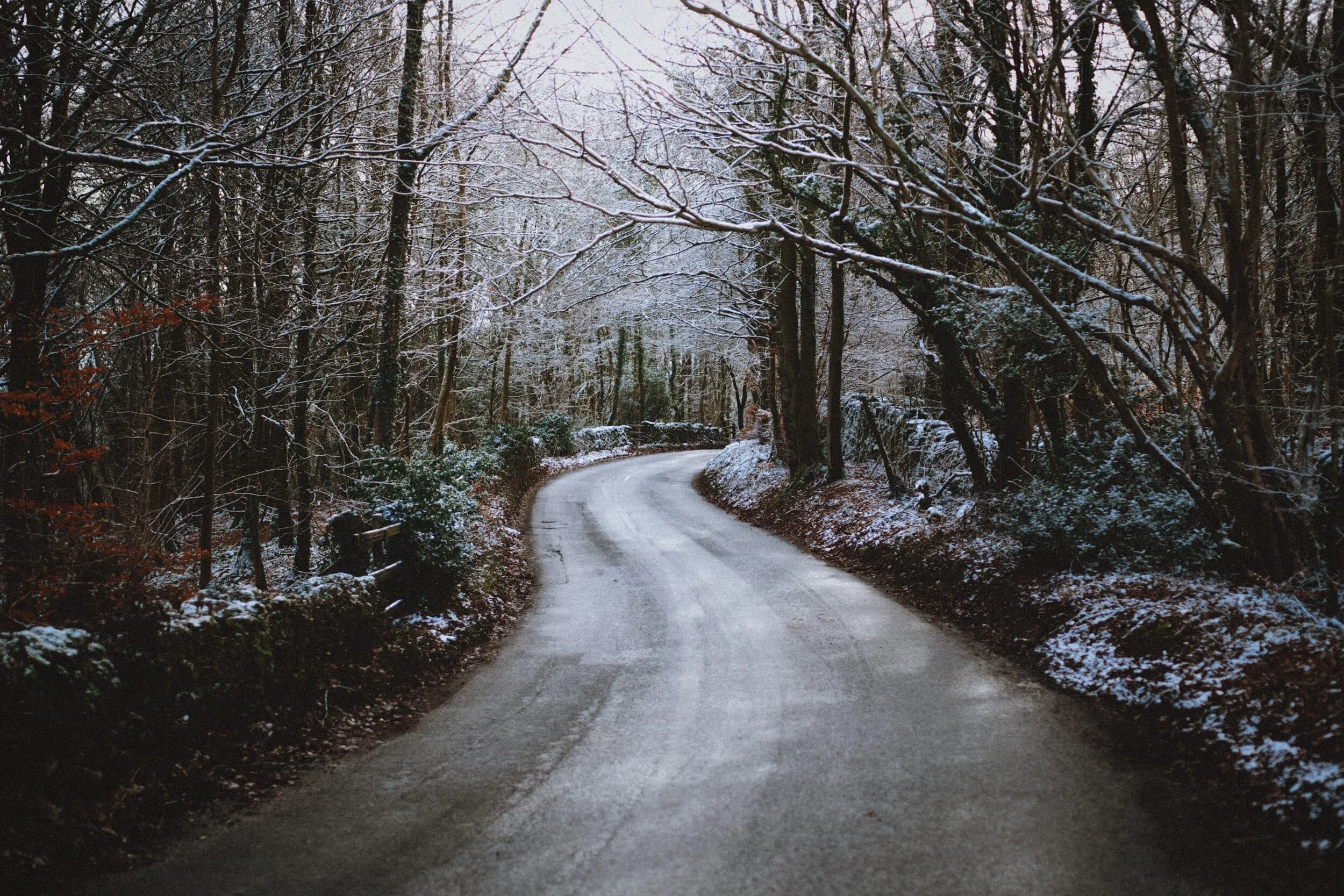  The road through Warriner&rsquo;s Woods. You can see the stile on the left; this is the way into the woods on foot. 