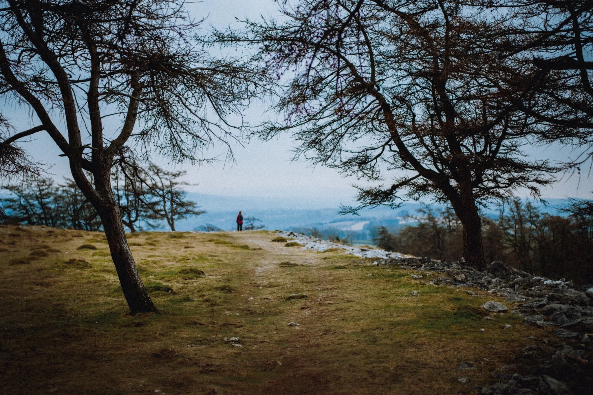  Lisabet drinking in the views south from Helsington Barrows. It was a rather hazy day. 