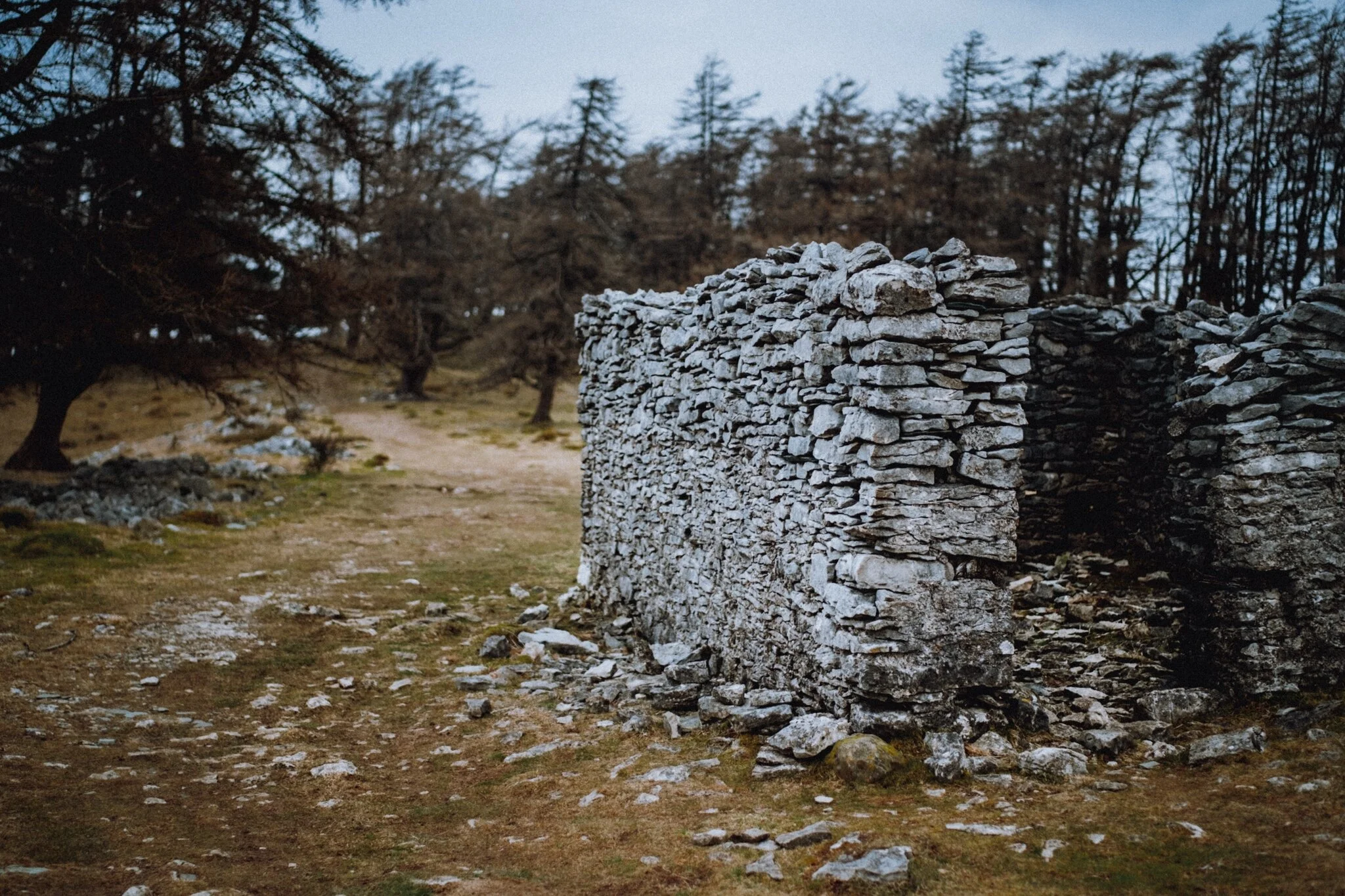  Some structure we found when wandering south through Helsington Barrows. Potential apocalypse shelter? 
