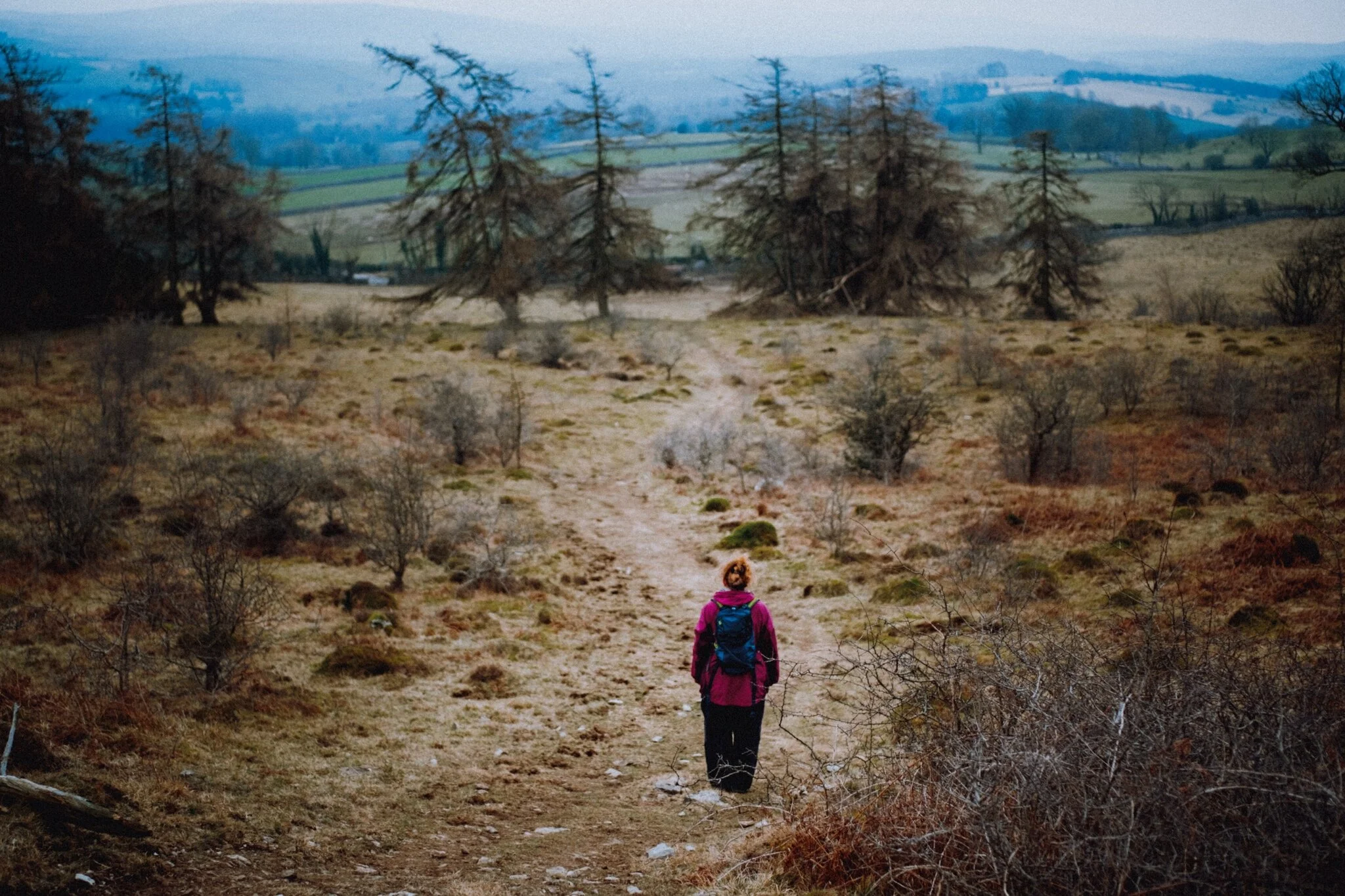  The way towards Helsington Church. 
