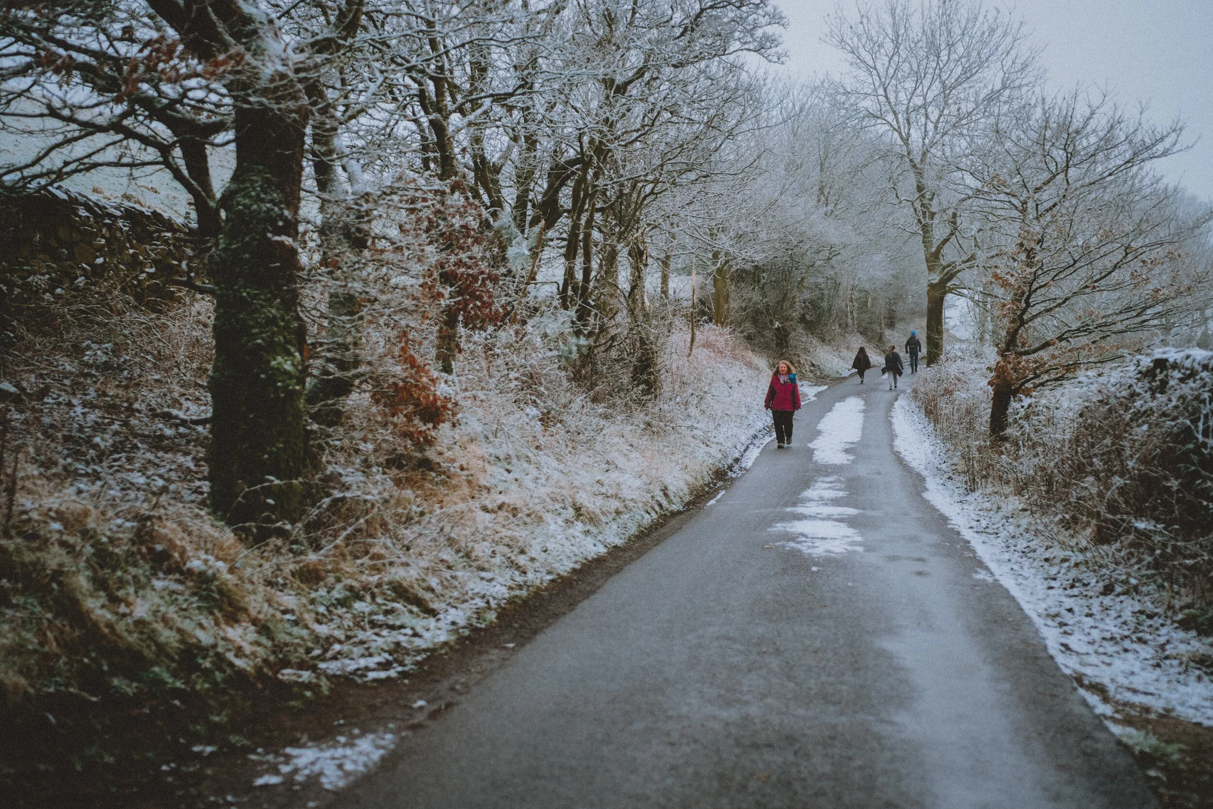  Up on Paddy Lane. Trees and flora covered in corns of ice and frost. 