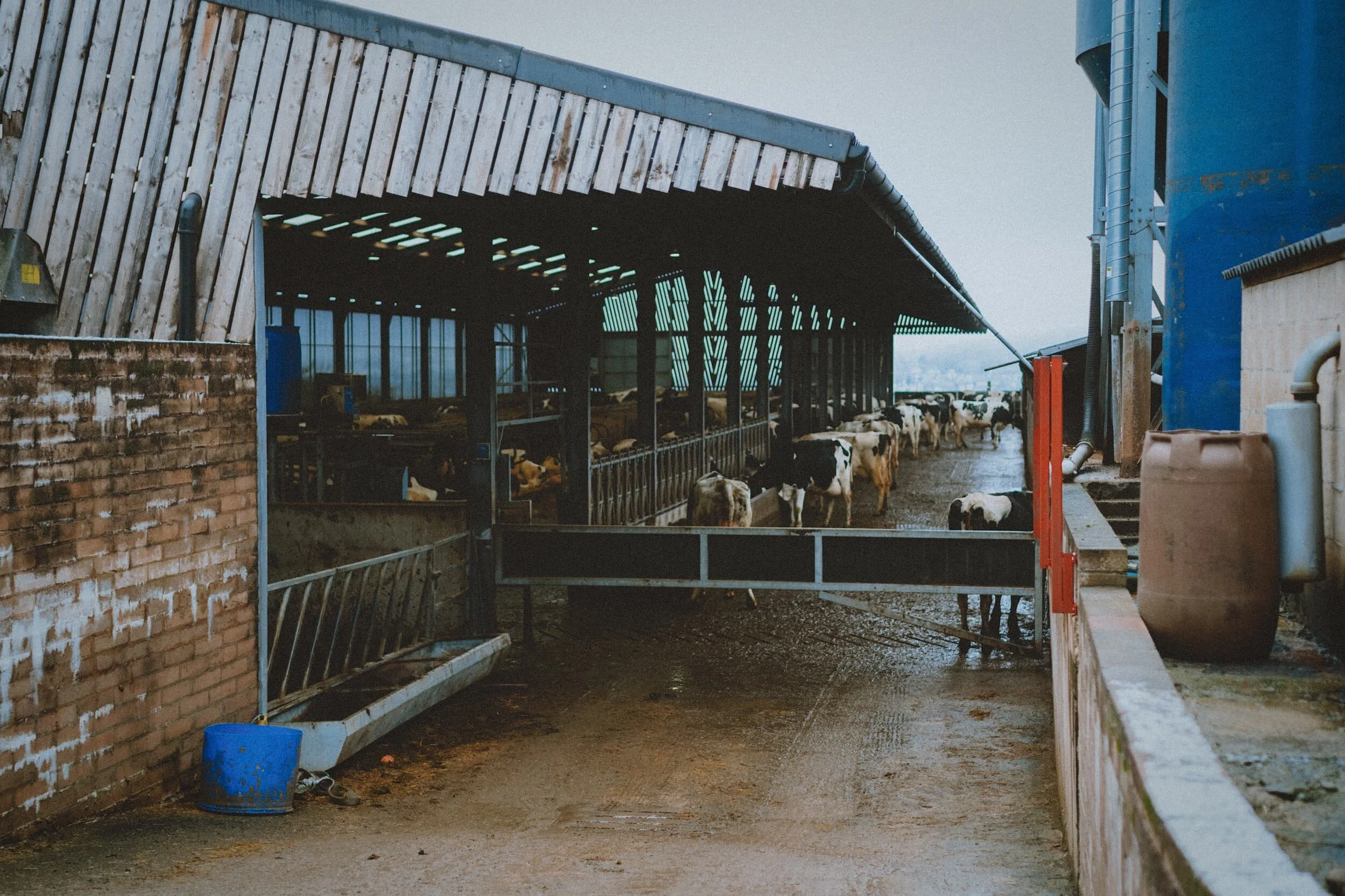  All well fed and keeping warm, by the look of things. 