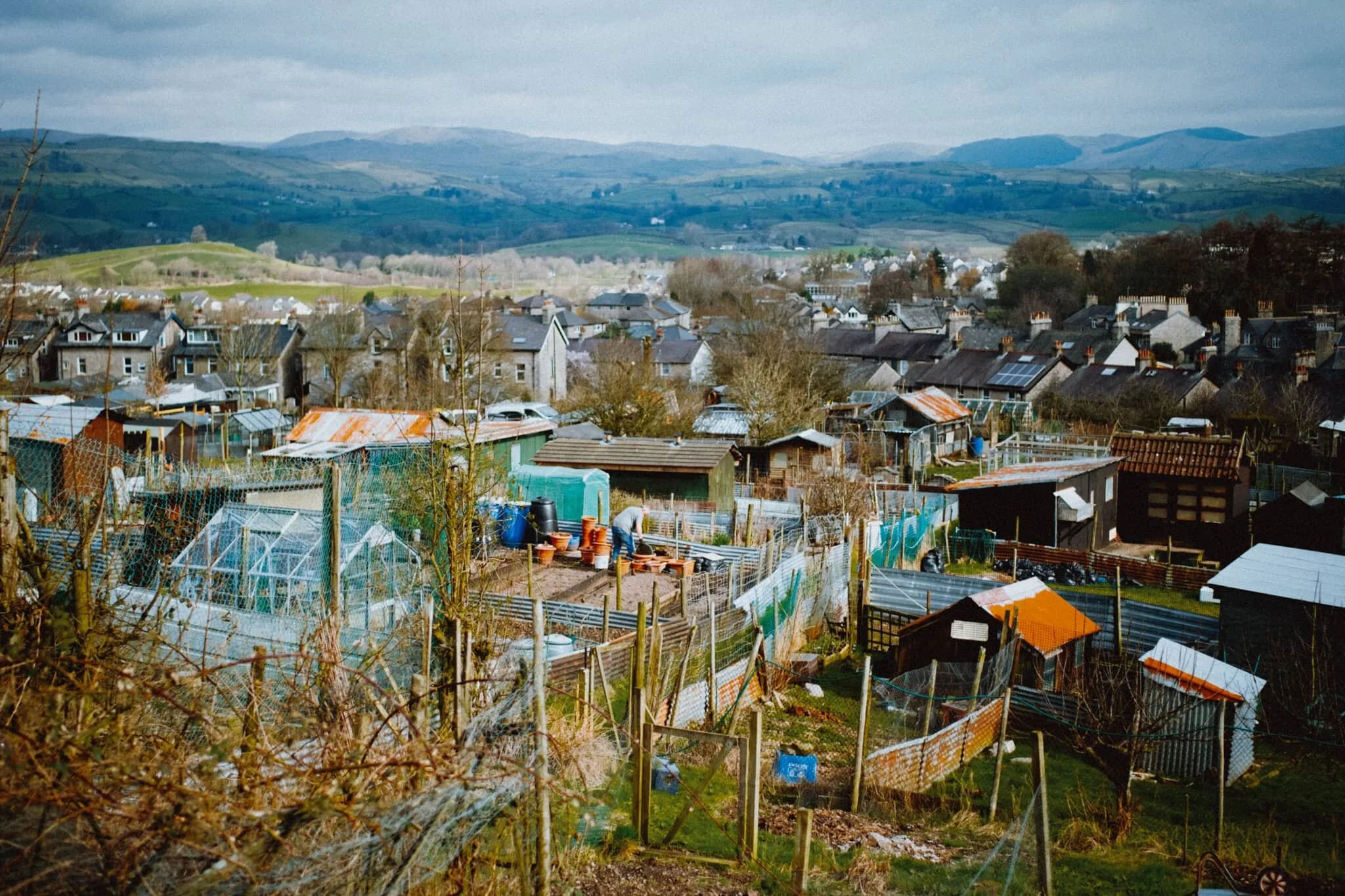  Hiking up towards Helsfell Nab, you pass some of these allotments that enjoy tremendous views towards the Far Eastern Fells. Plenty of people on their plots busy working away. 