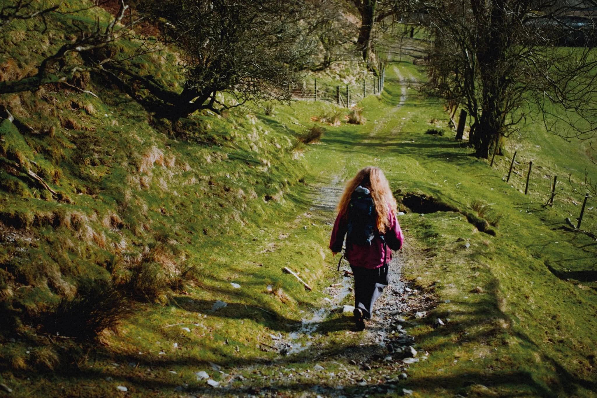  Down the green lonnin (lane) to the Lower Borrowdale farm. Glorious sunshine. 