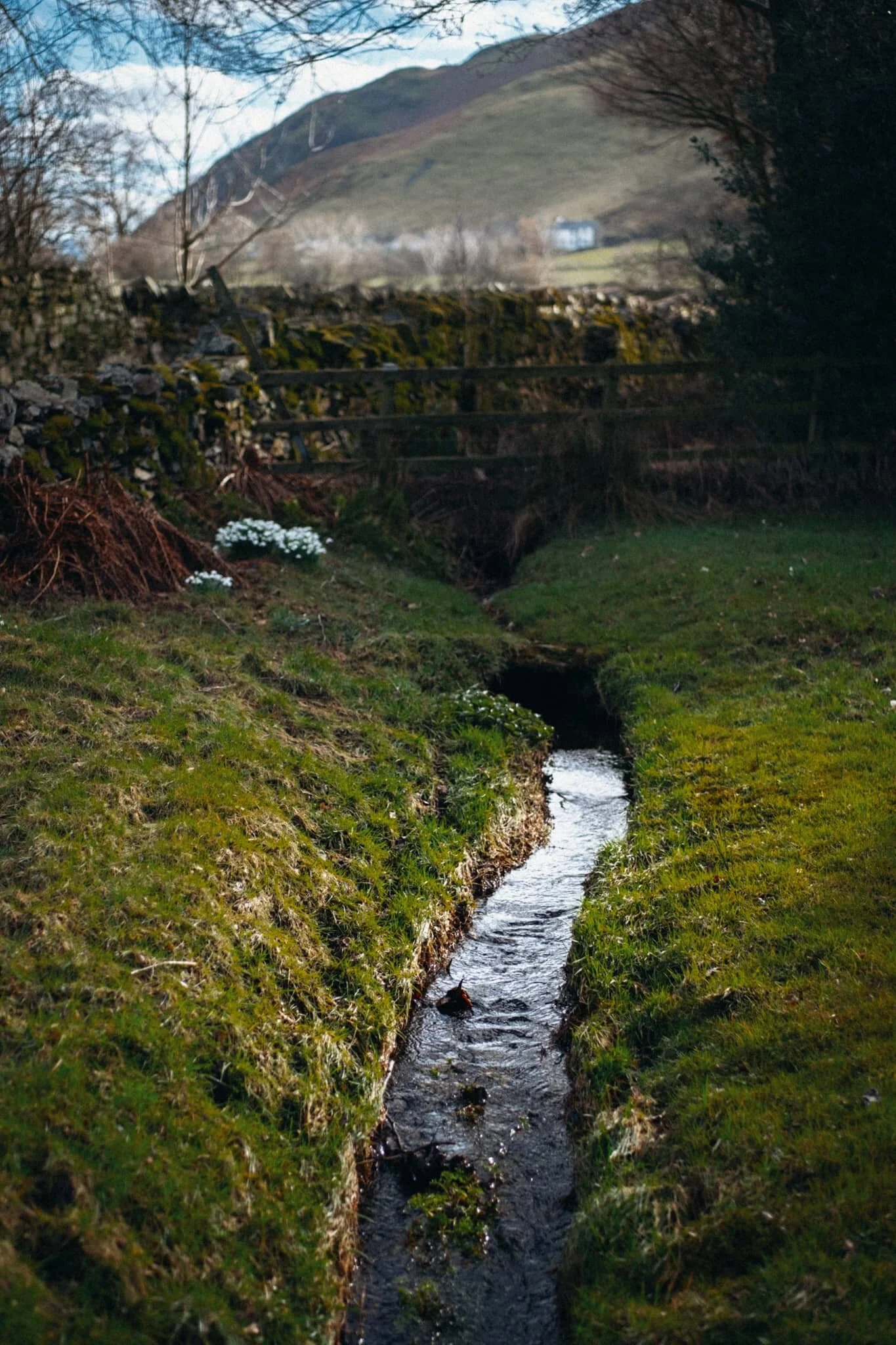  Back at the foot of the valley is Mosedale village, which is rather idyllic and a true Cumbrian rural paradise. 