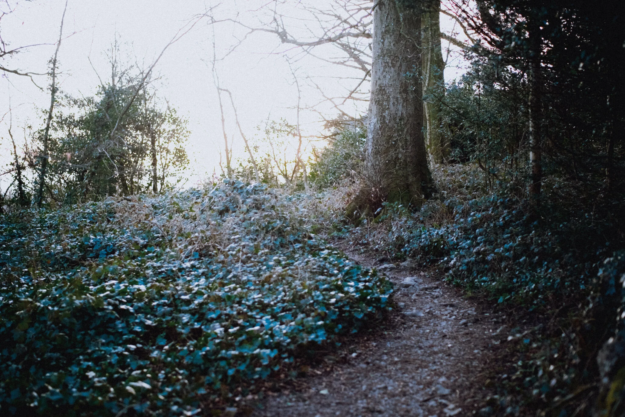  There was a time when I was overly concerned with achieving maximum exposure in my photos, attempting to capture as much highlight and shadow information as possible. Then later, a variety of complex editing and blending methods would be used to eke out as much dynamic range in an image as possible. These days, I&rsquo;m much content to let a blown out highlight remain so, especially when shooting right into the sun. It&rsquo;s  the sun,  of course it&rsquo;s bright. 