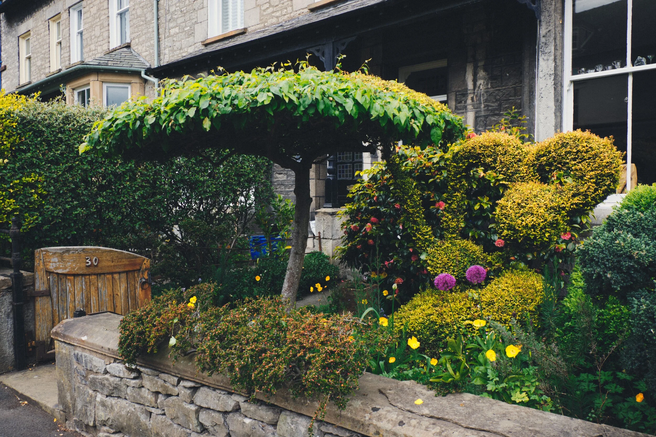  Superb gardening skills going on here. 