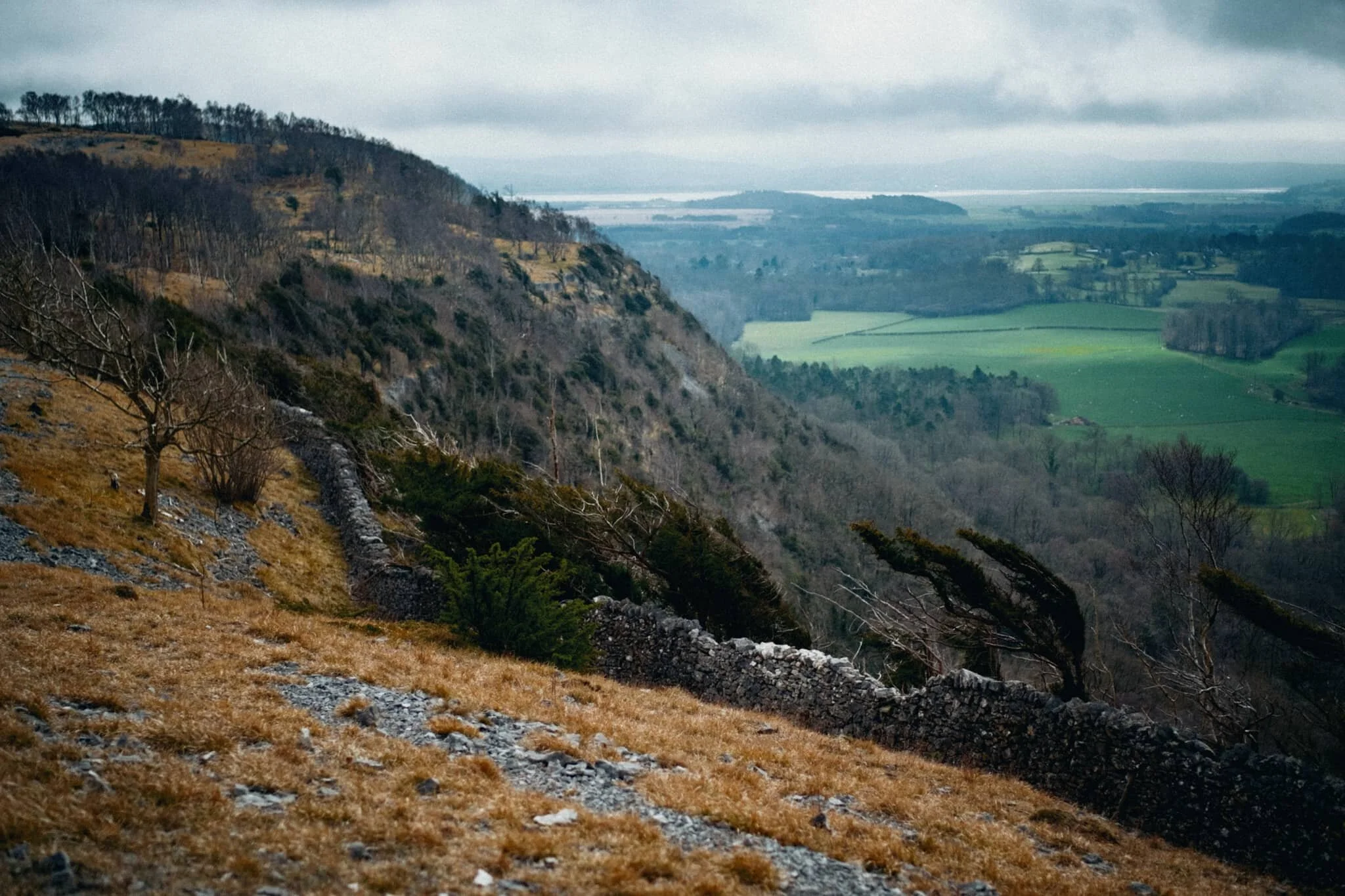  Getting closer to the precipitous drop of Whitbarrow Scar. 