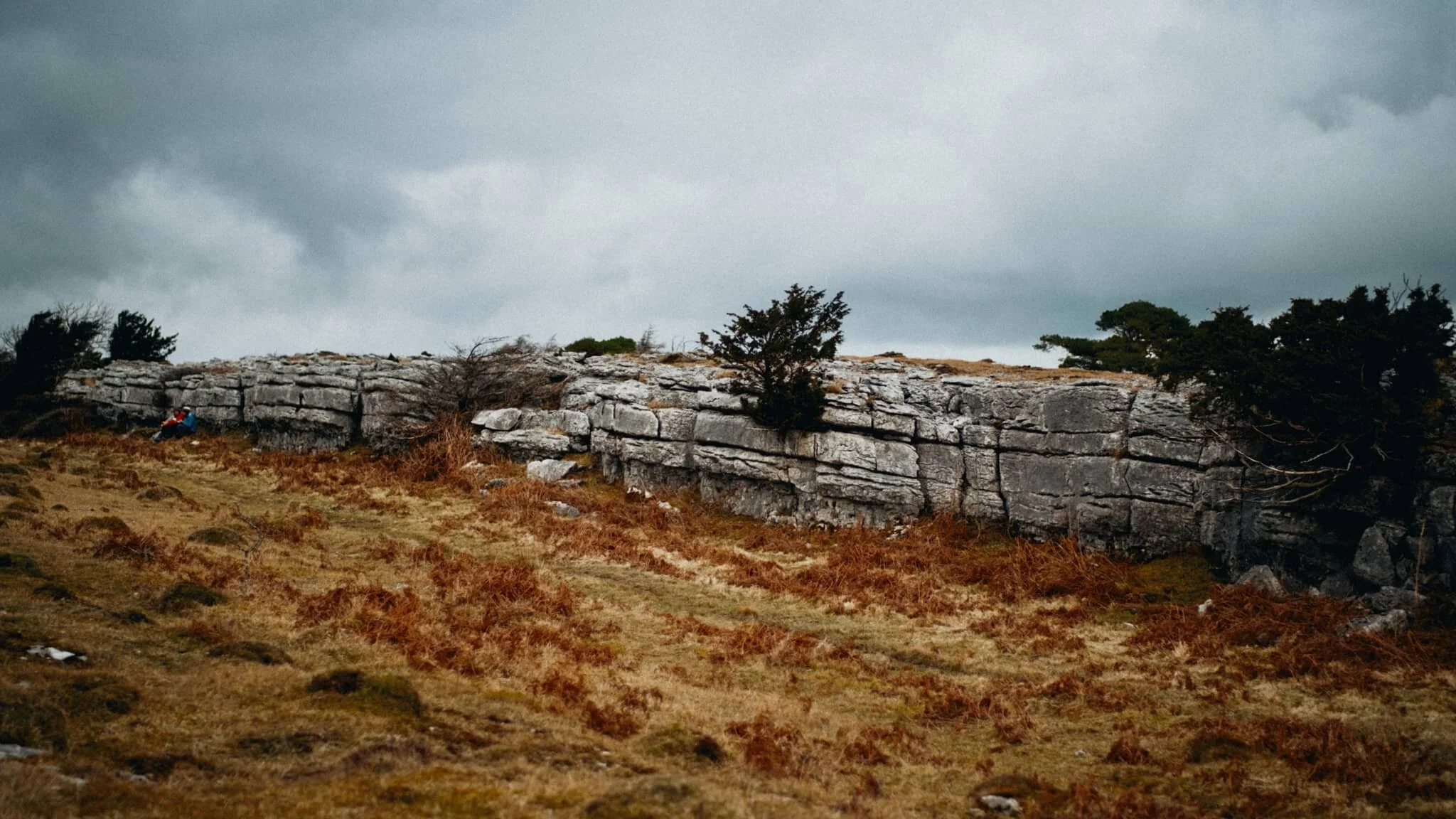  Just one example of the almost impossibly perfect wall-like structure of the limestone pavements found near the Whitbarrow Nature Reserve. 