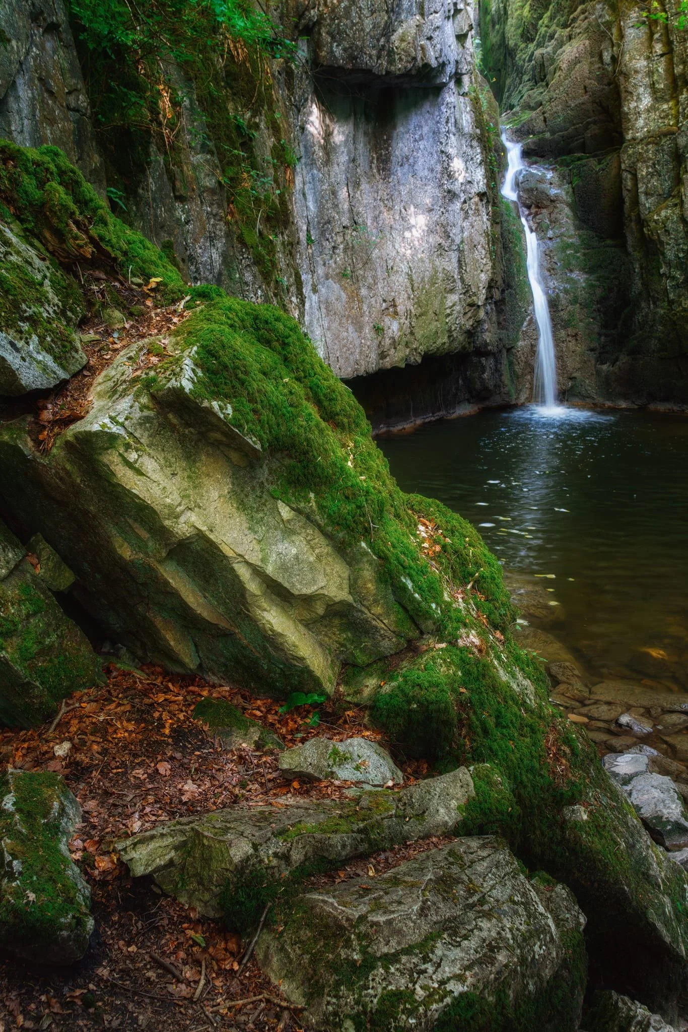  We were able to clamber right to the pool of the waterfall for some closer compositions. 