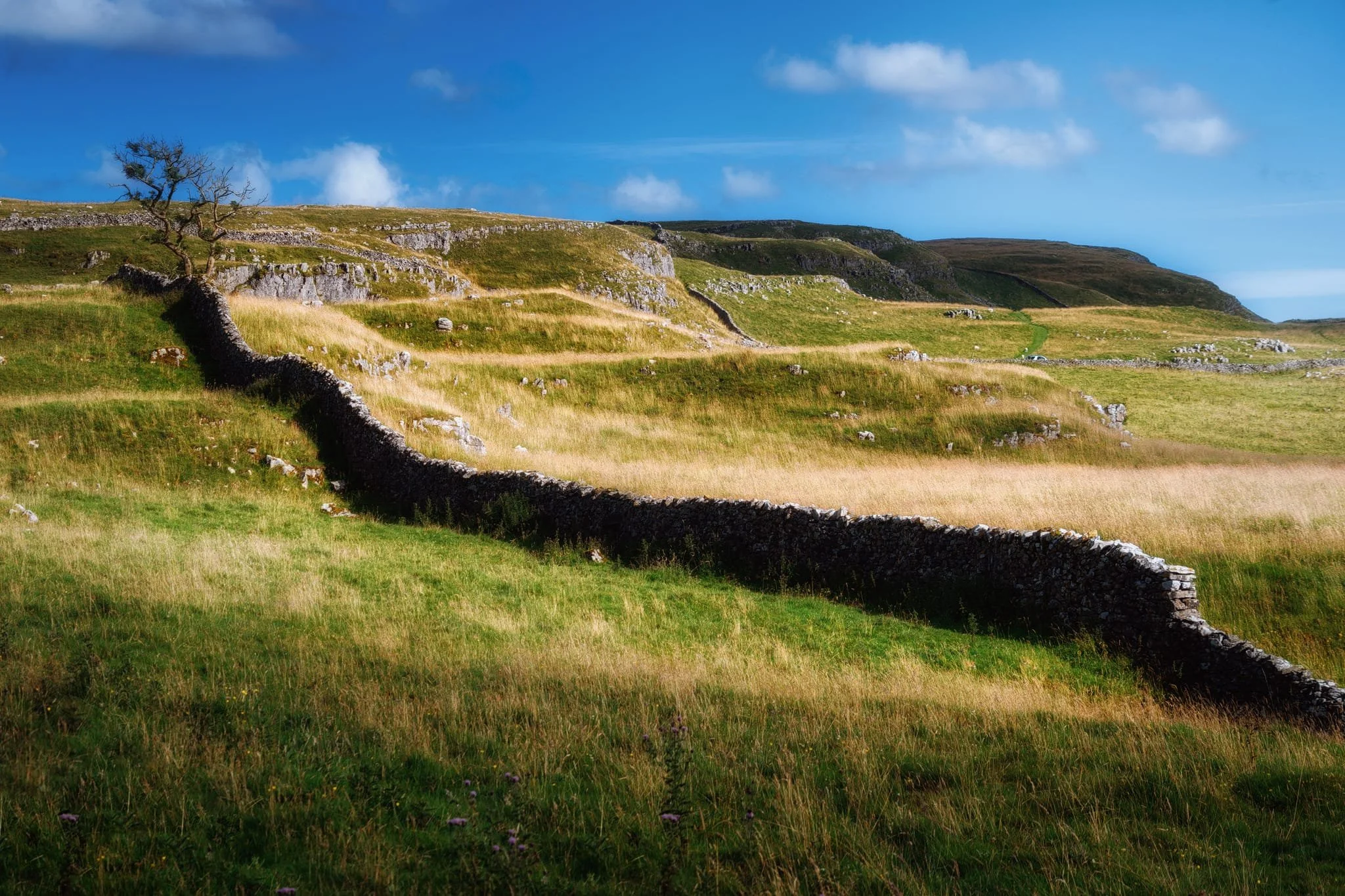  Oh look, Ian takes another photo of a drystone wall. But they&rsquo;re so cool! And, in this photo, really aid composition. In the distance are the cliffs of Attermire Scar. 