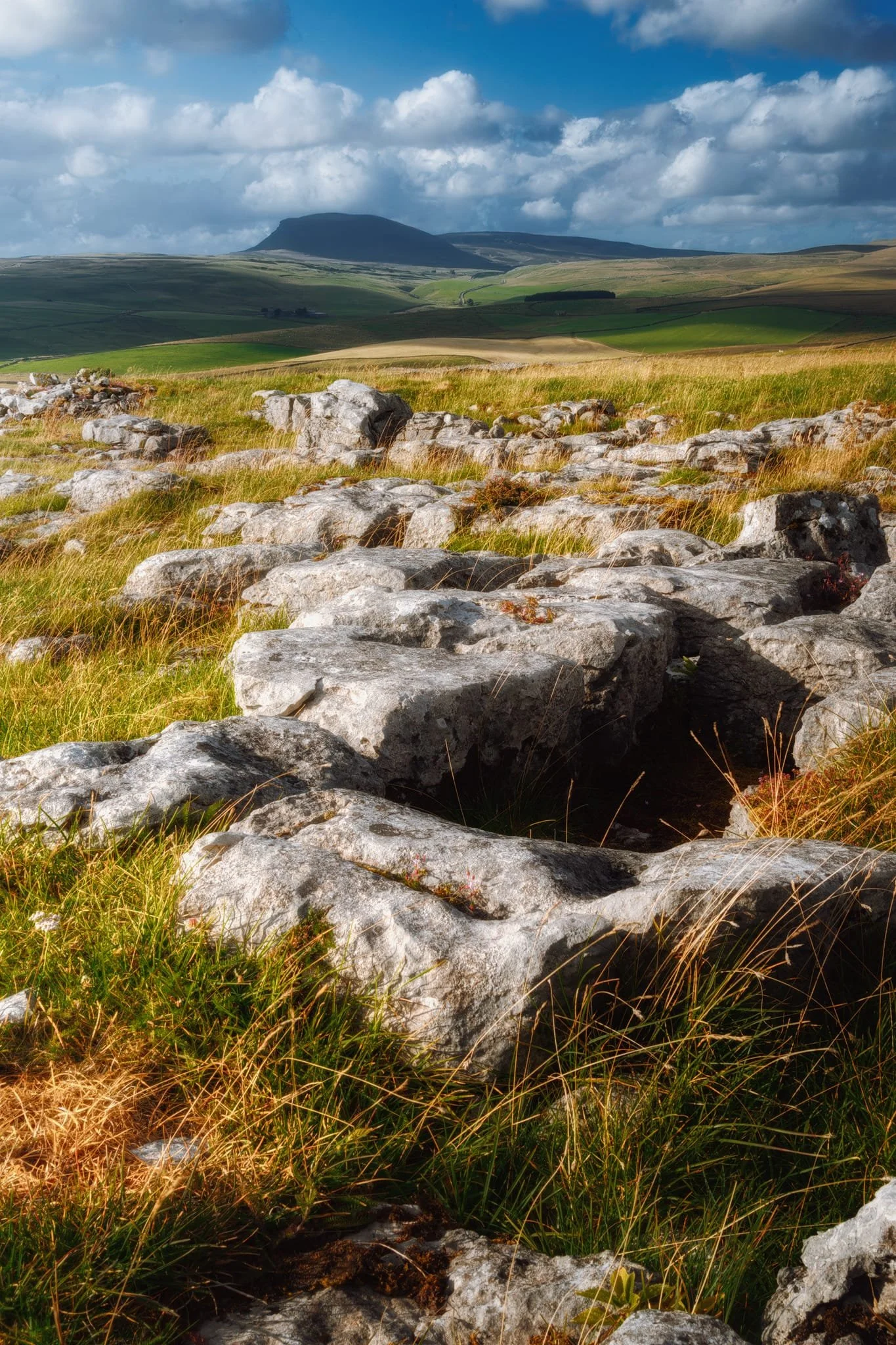  We clambered up around the Winskill Stones Nature Reserves seeking extensive limestone pavements. Whilst they weren&rsquo;t as sizeable as the likes of Malham Cove, they nevertheless made for nice compositions, especially towards Pen-y-ghent. 