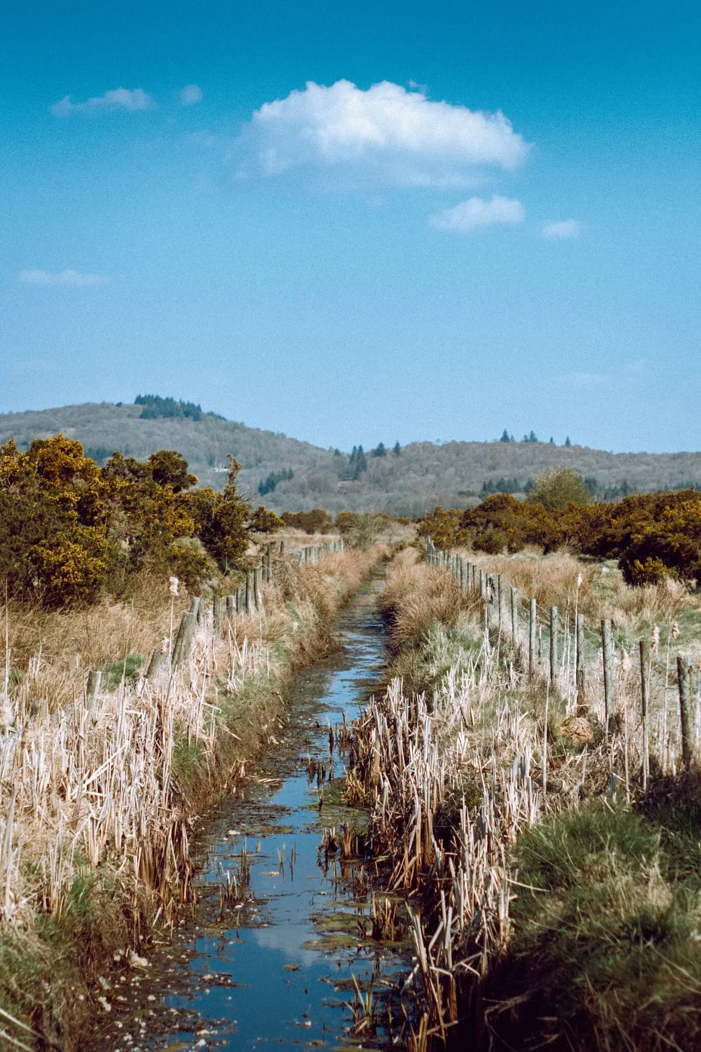  An almost impossibly perfect composition that I couldn&rsquo;t resist on our way back to the car. 
