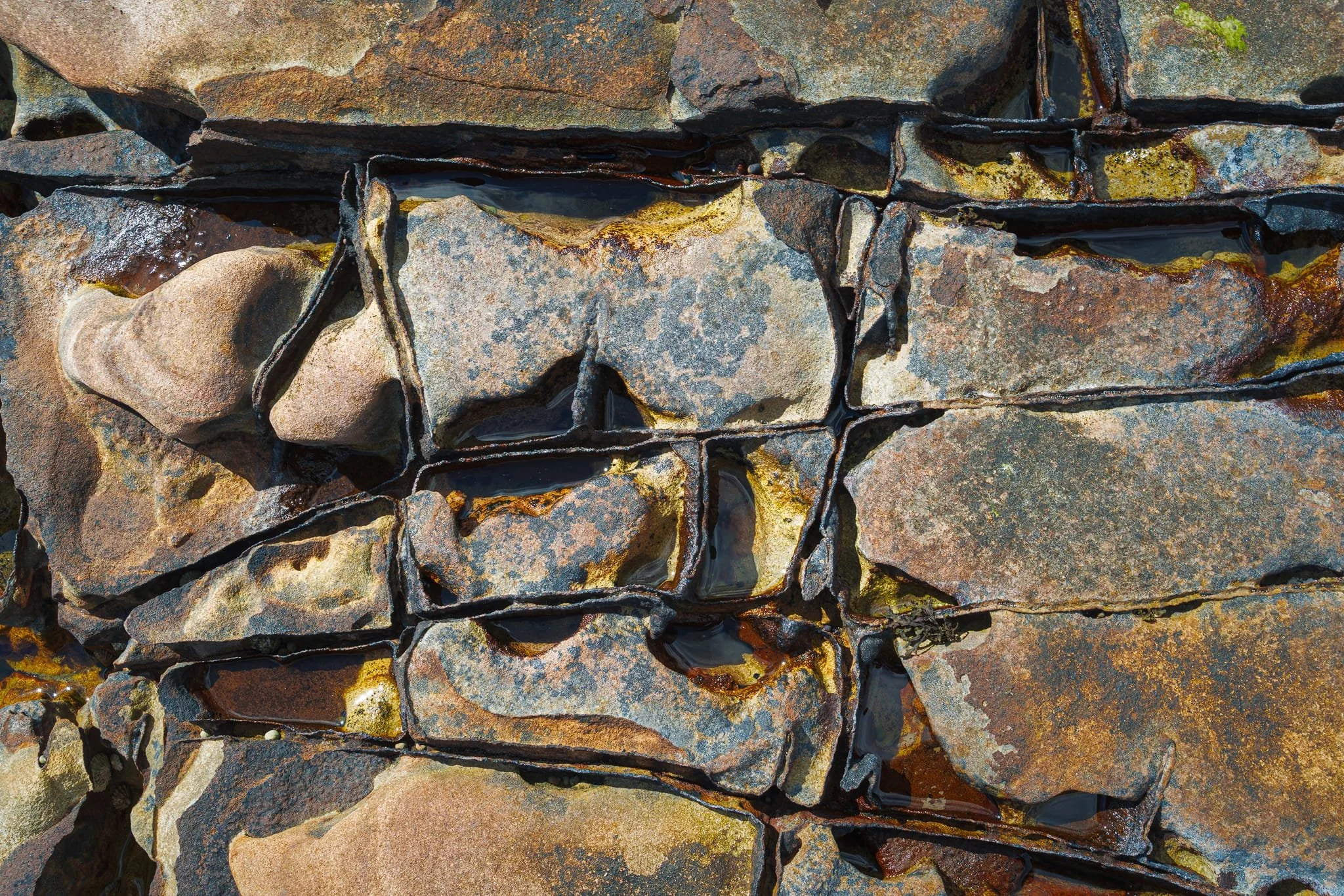  Man-made? Not in the slightest. Here, the rock has two dominant fracture directions, roughly at right-angles. Where they cross you get those neat little rectangles. Salt-crystal growth, freeze-thaw and wave-driven pebbles have prised those cracks open over millennia, filling them with water and iron-rich films. That&rsquo;s why the joints look so crisp and dark compared to the orange-buff block faces. Every tide, sand-and-pebble slurry scours along the weakest joints, deepening the grid pattern and leaving small pools in the intersections. 