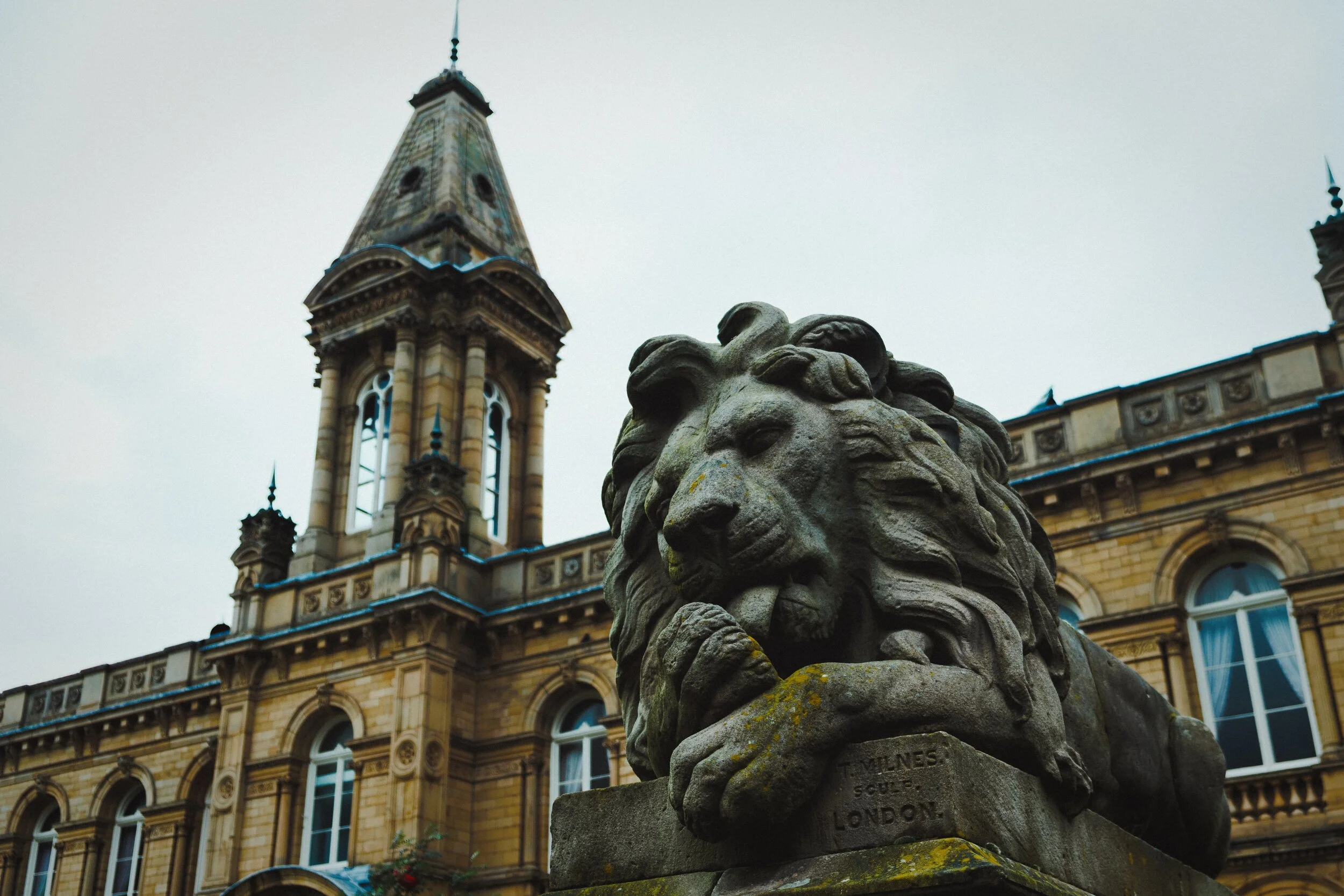  In front of the Hall are two sculpted lions representing War and Peace. They face two other sculpted lions that flank the school opposite the Hall, representing Determination and Vigilance. This lion is Peace. 