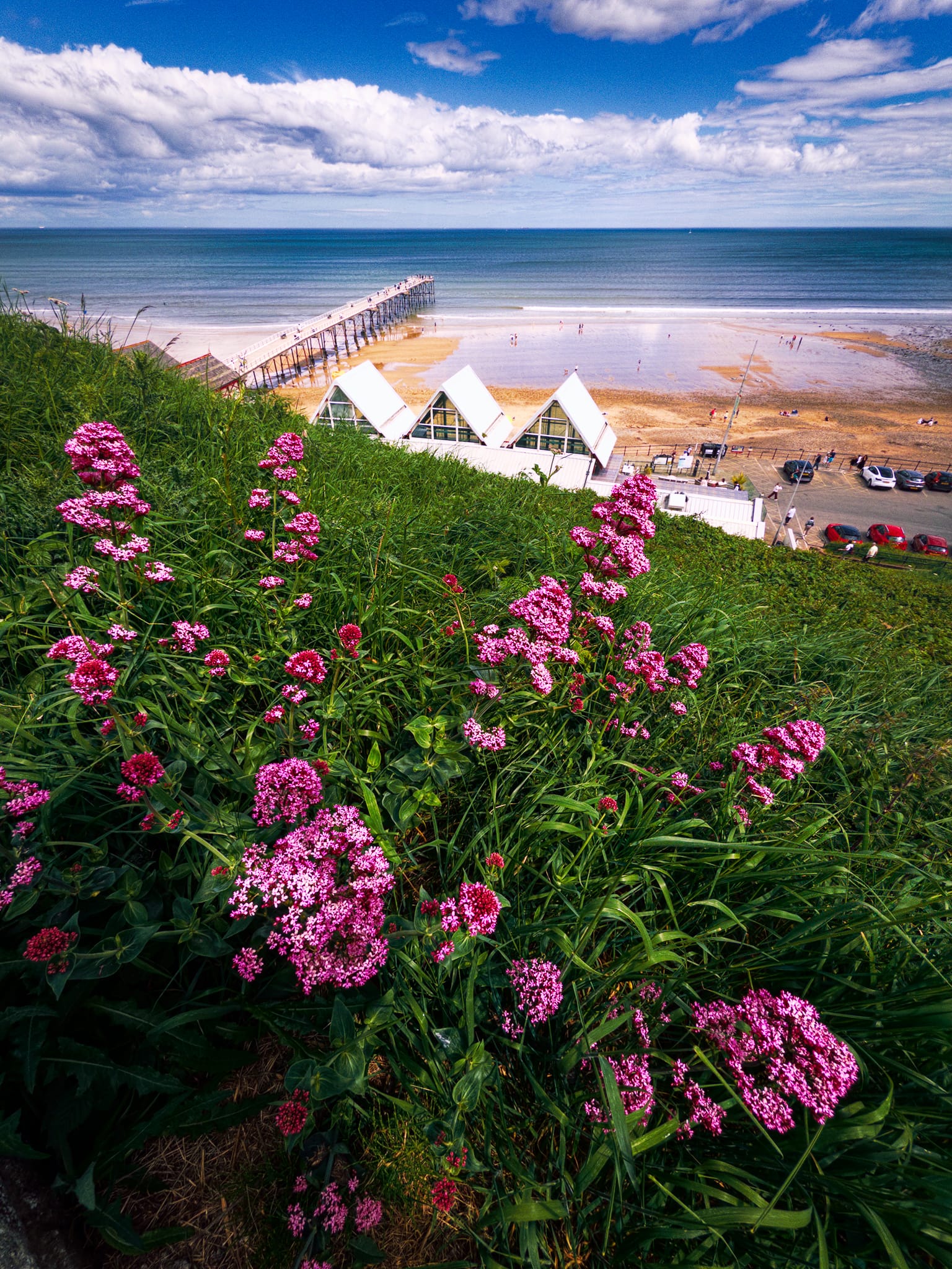 Our first instinct was to take the steps up the cliff into the town proper, see what views we could enjoy. Along the way, these beautiful Red Valerian (Centranthus ruber) provided a lovely foreground interest for this composition looking down at Saltburn’s beach and its pier.