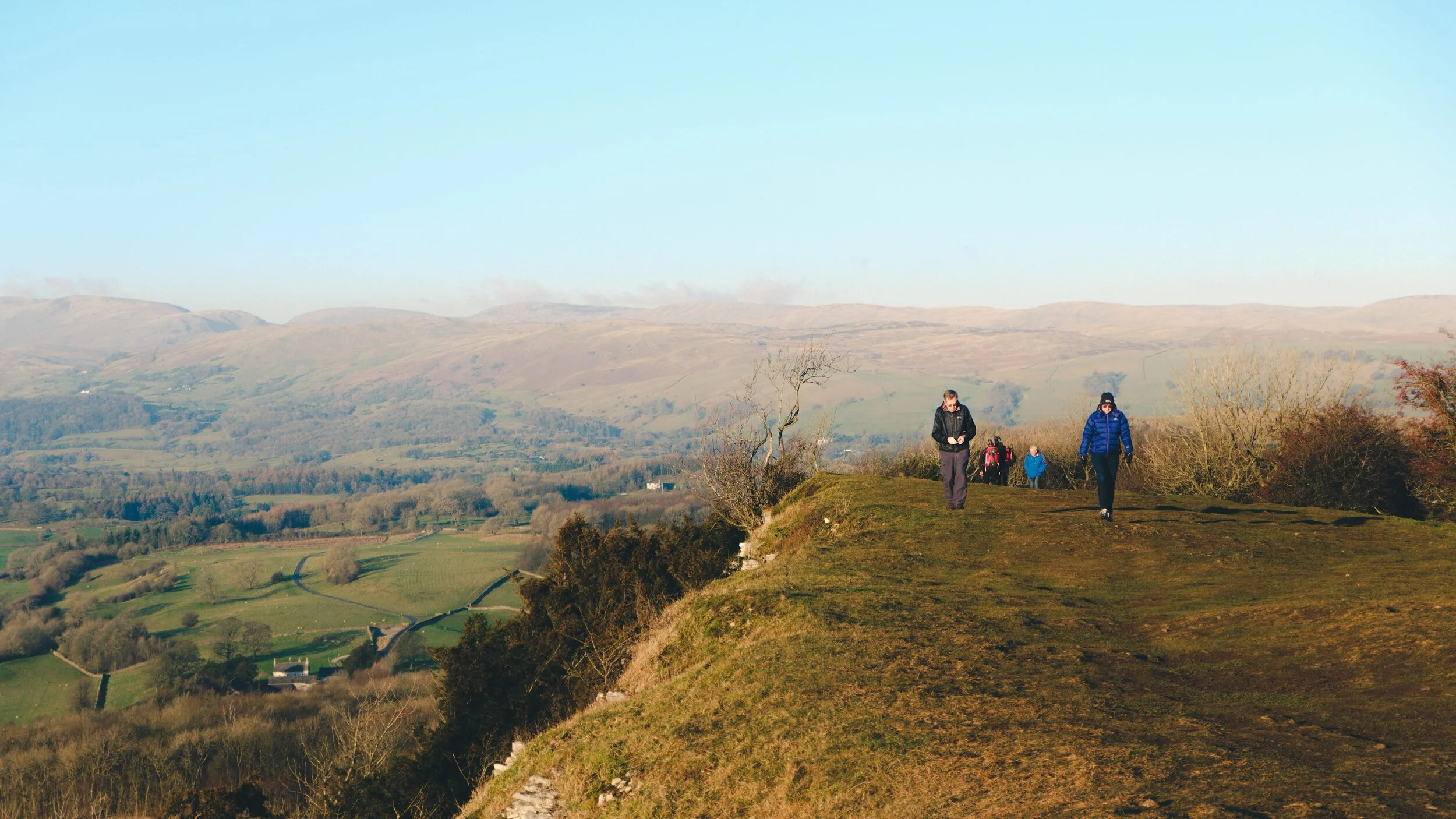 Newyear_Scoutscar 06