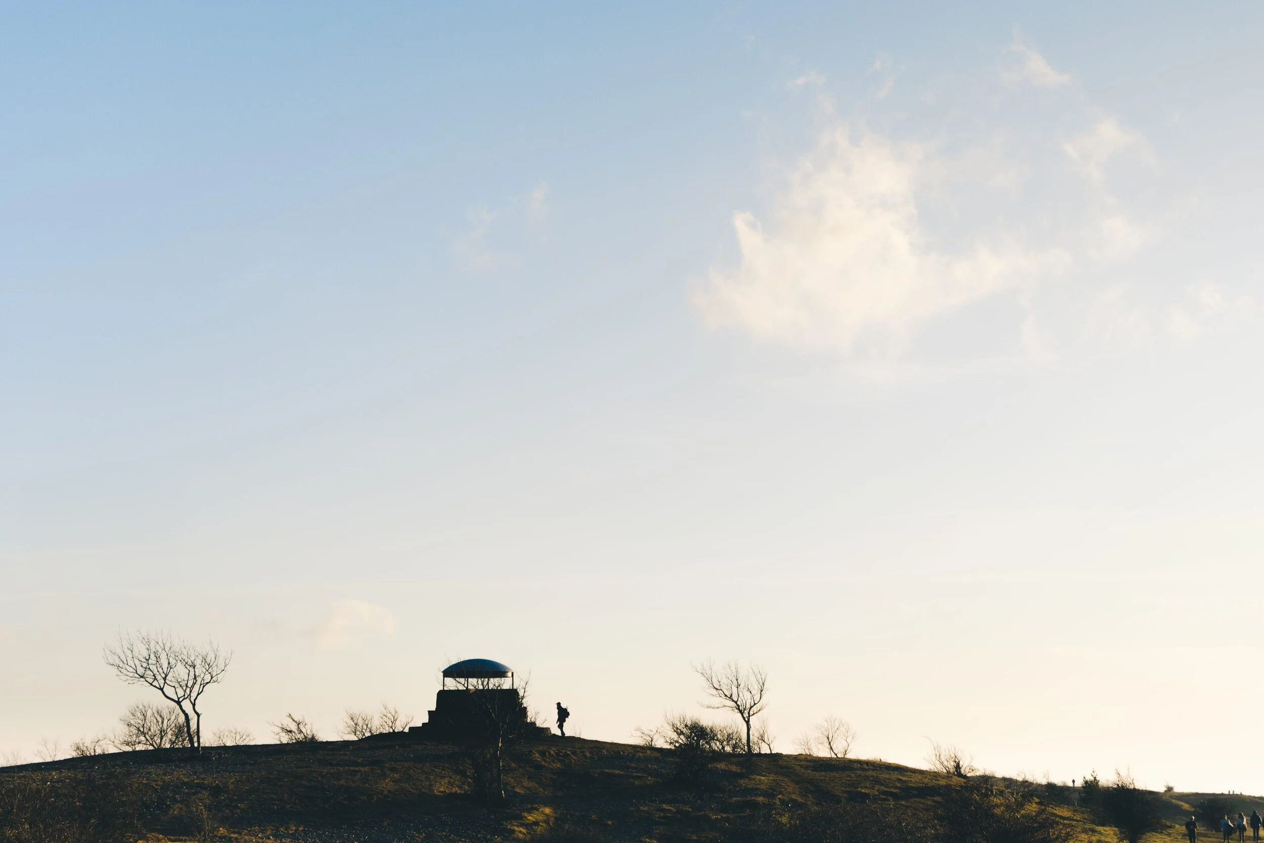 Newyear_Scoutscar 07