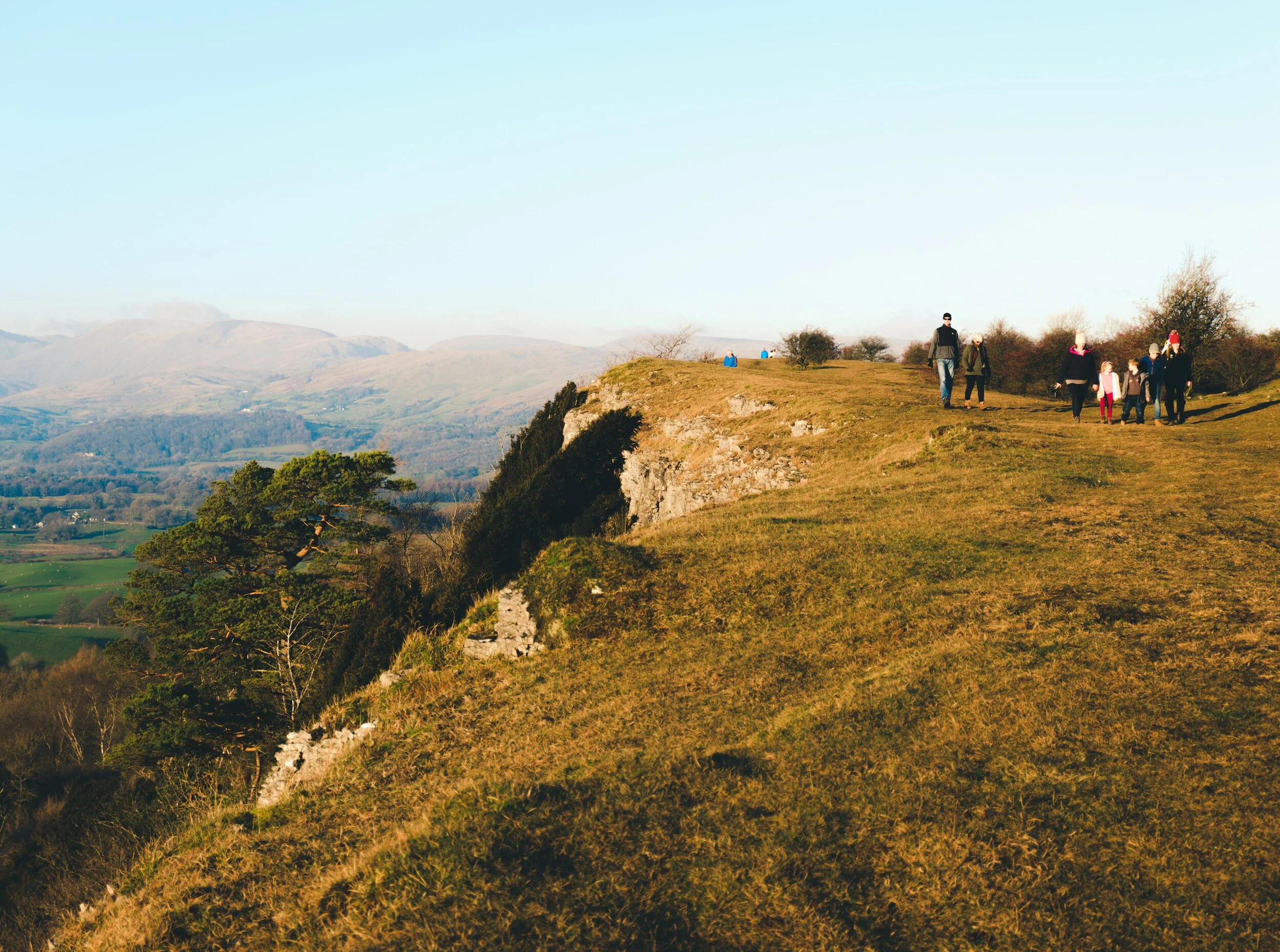 Newyear_Scoutscar 09