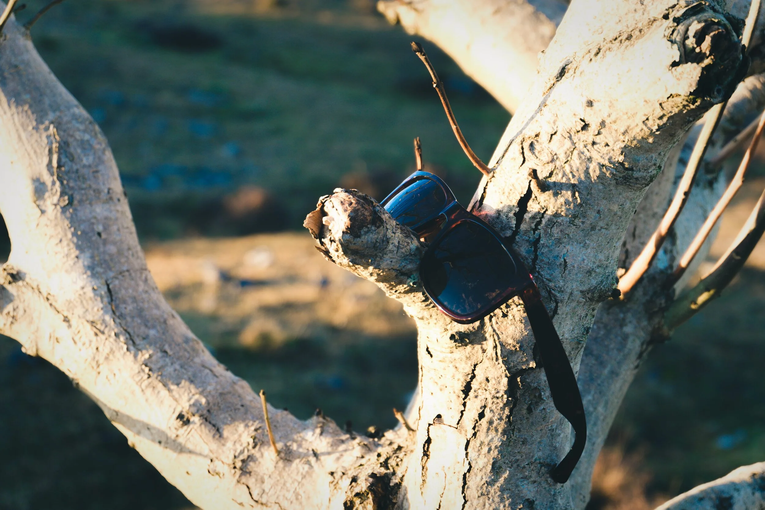 Newyear_Scoutscar 13