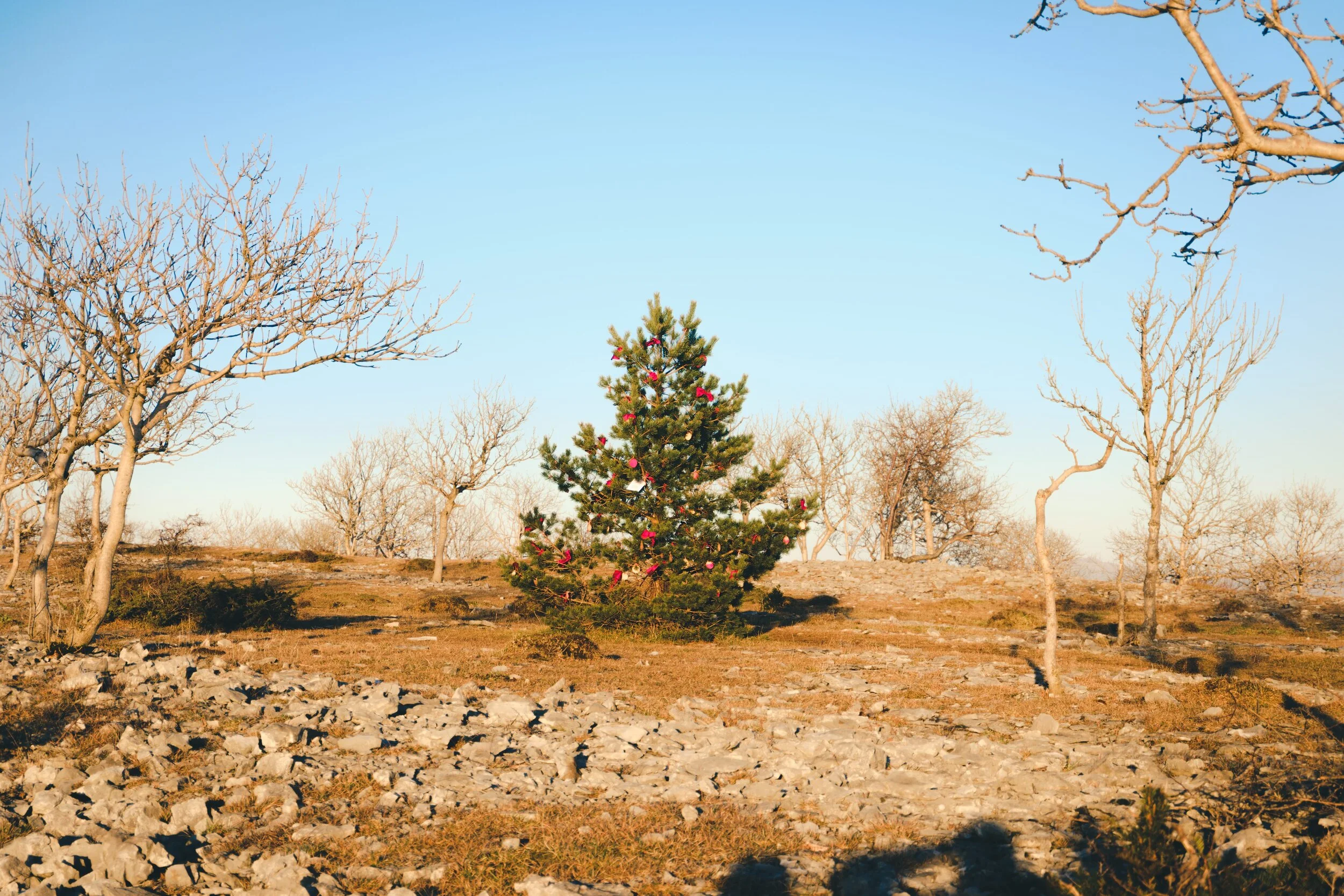 Newyear_Scoutscar 14