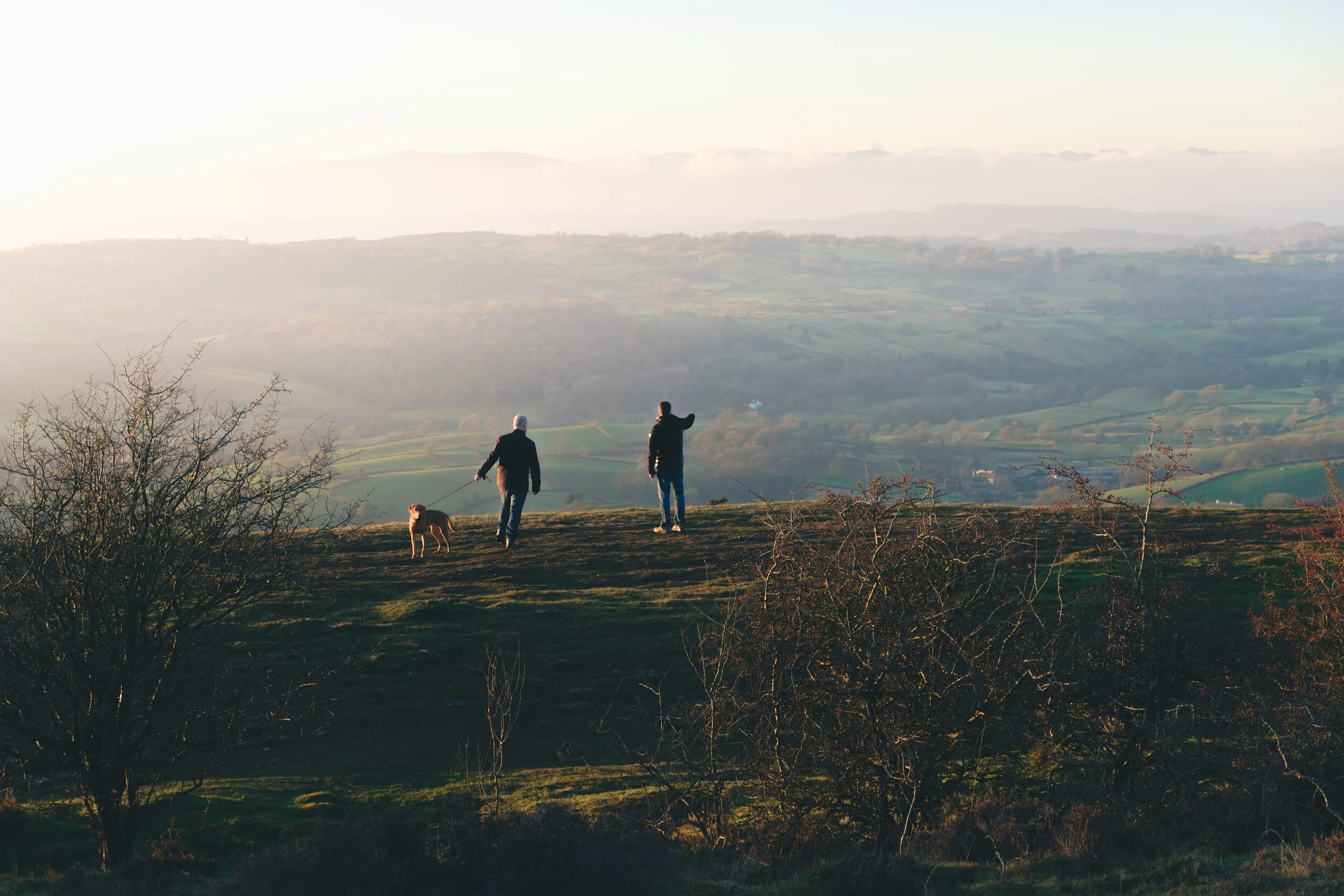 Newyear_Scoutscar 18