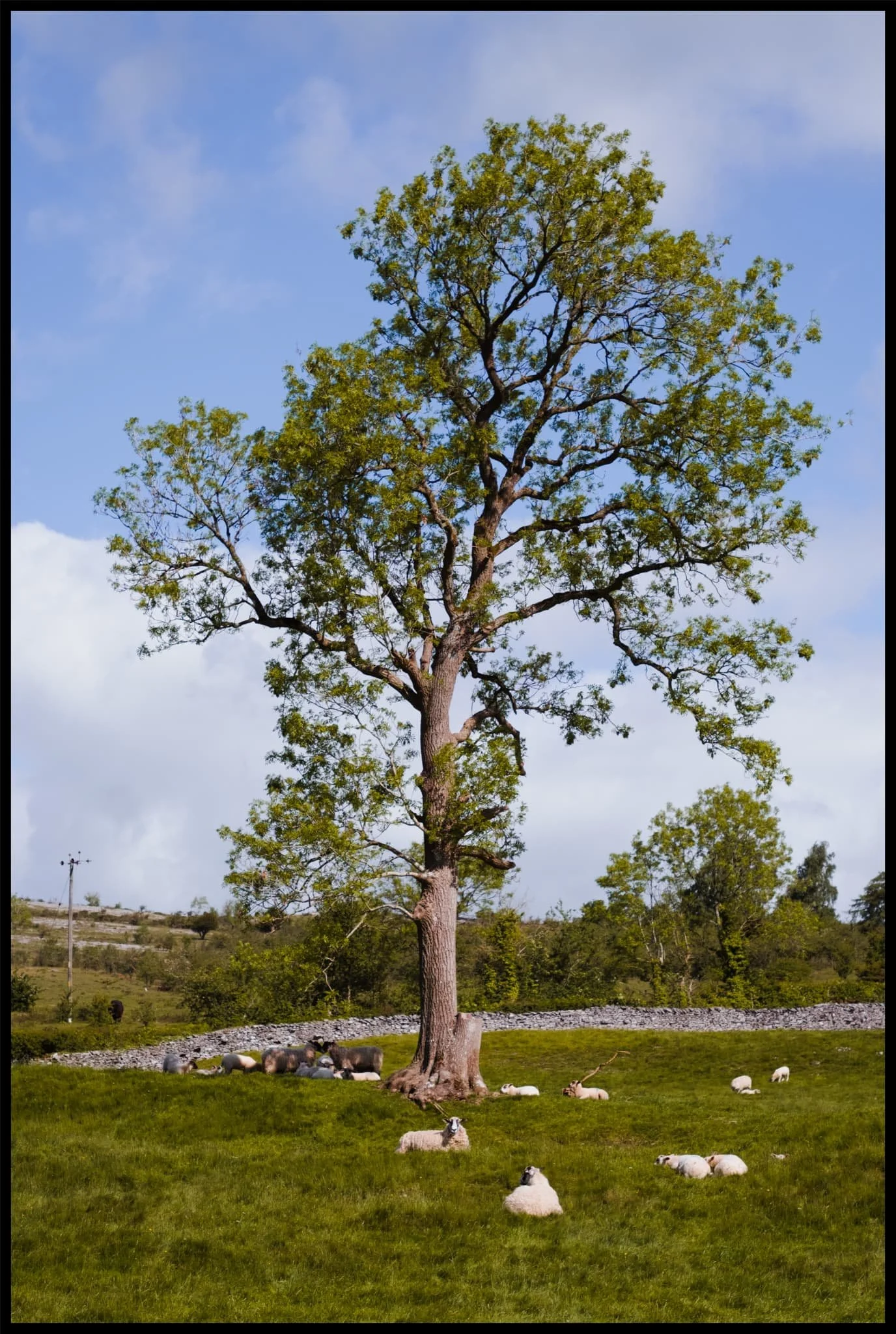  How about this for r/RuralPorn? 