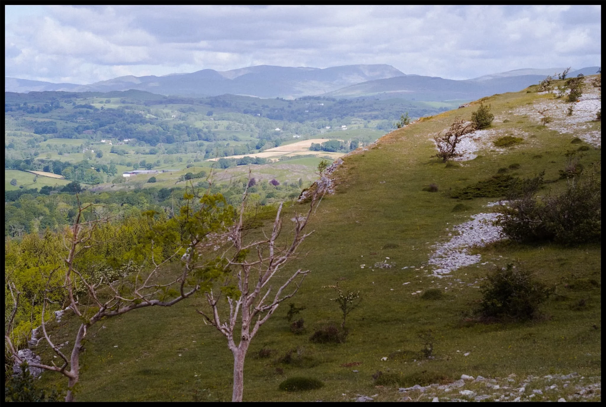  Finally, up the back of Scout Scar and over its spine to enjoy the extensive views across the Lyth Valley towards the Lake District fells. 