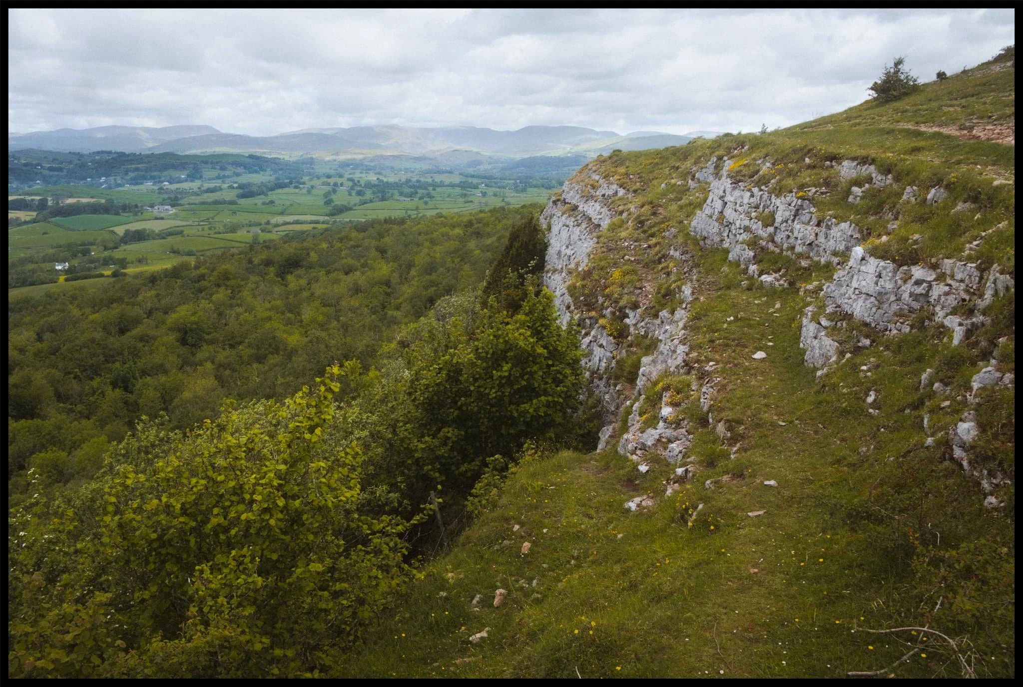  It&rsquo;s so good for the brain to see everything looking so green again. 