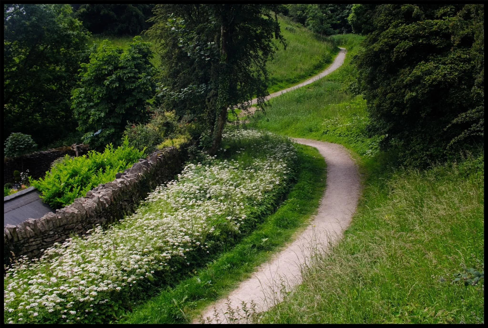  The path below Brigsteer Road winds it way to Underbarrow estate. 