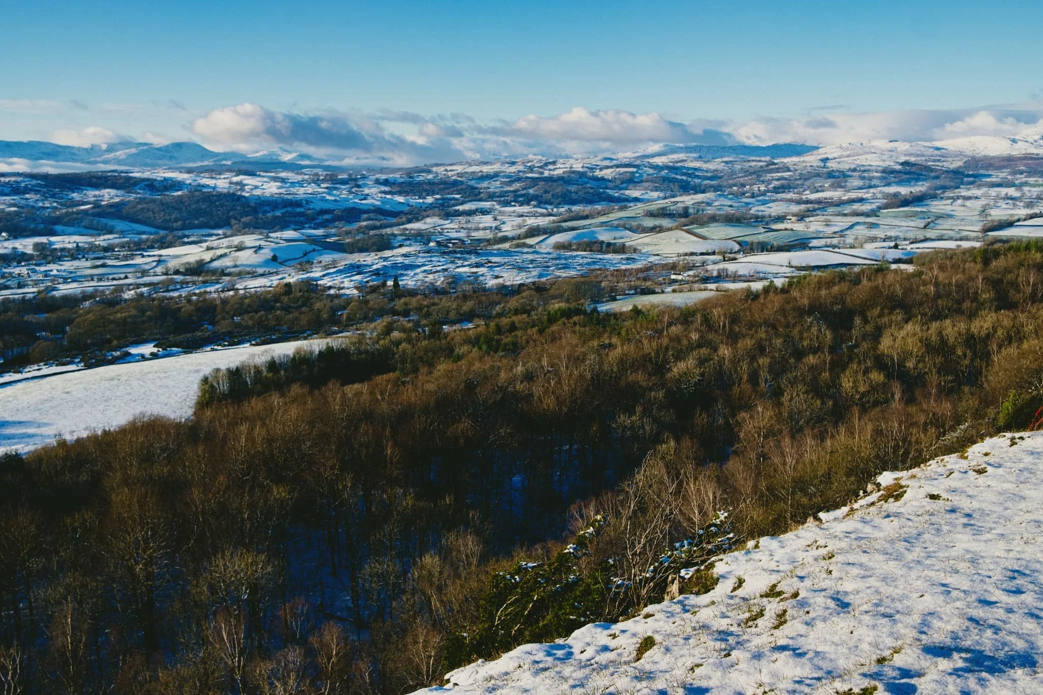  Storm Arwen made damn sure there were no autumnal leaves left on the trees. A landscape of auburn and yellow has quickly been replaced with fresh white snow. 