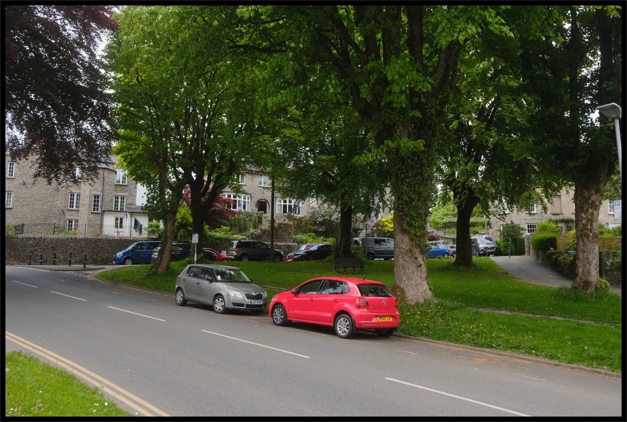  Everything&rsquo;s looking wonderfully green now. 