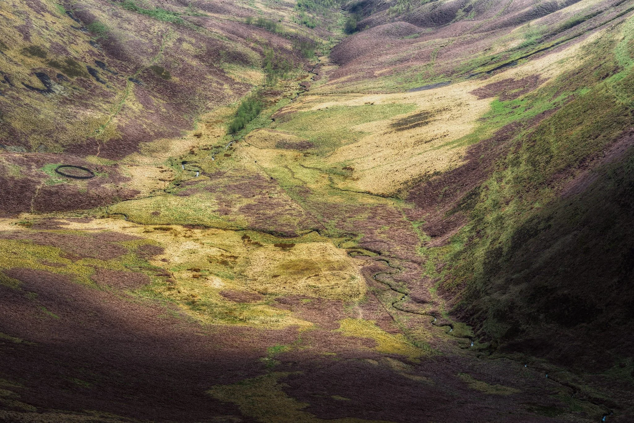  From the summit of Annanhead Hill I zoomed all the way down to the flat valley bottom, dotted with small streams and sheepfolds and interspersed with bog and bracken. The racing clouds above caused shifting and shadow across the landscape, and so I waited until I got the story of light that I wanted. 