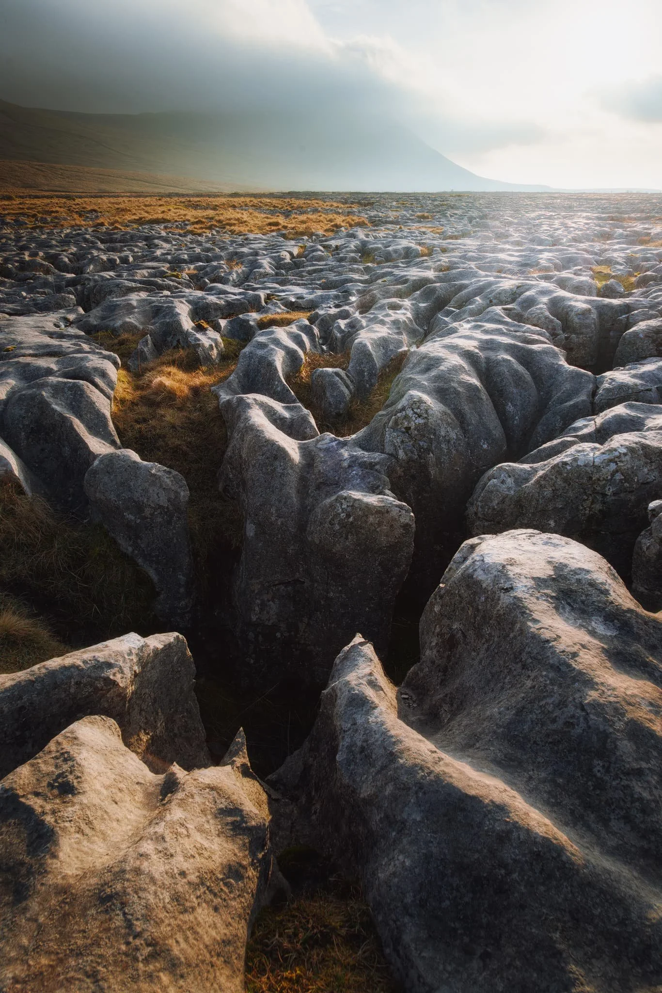  Above and east of Southerscales Scar, another small section of bog and limestone pavement is available at Douk Cave Pasture. This area sits right above Great Douk Cave. It&rsquo;s a weird sensation to think that, below your feet and underneath all these clints and grikes, is a myriad of cave systems. 