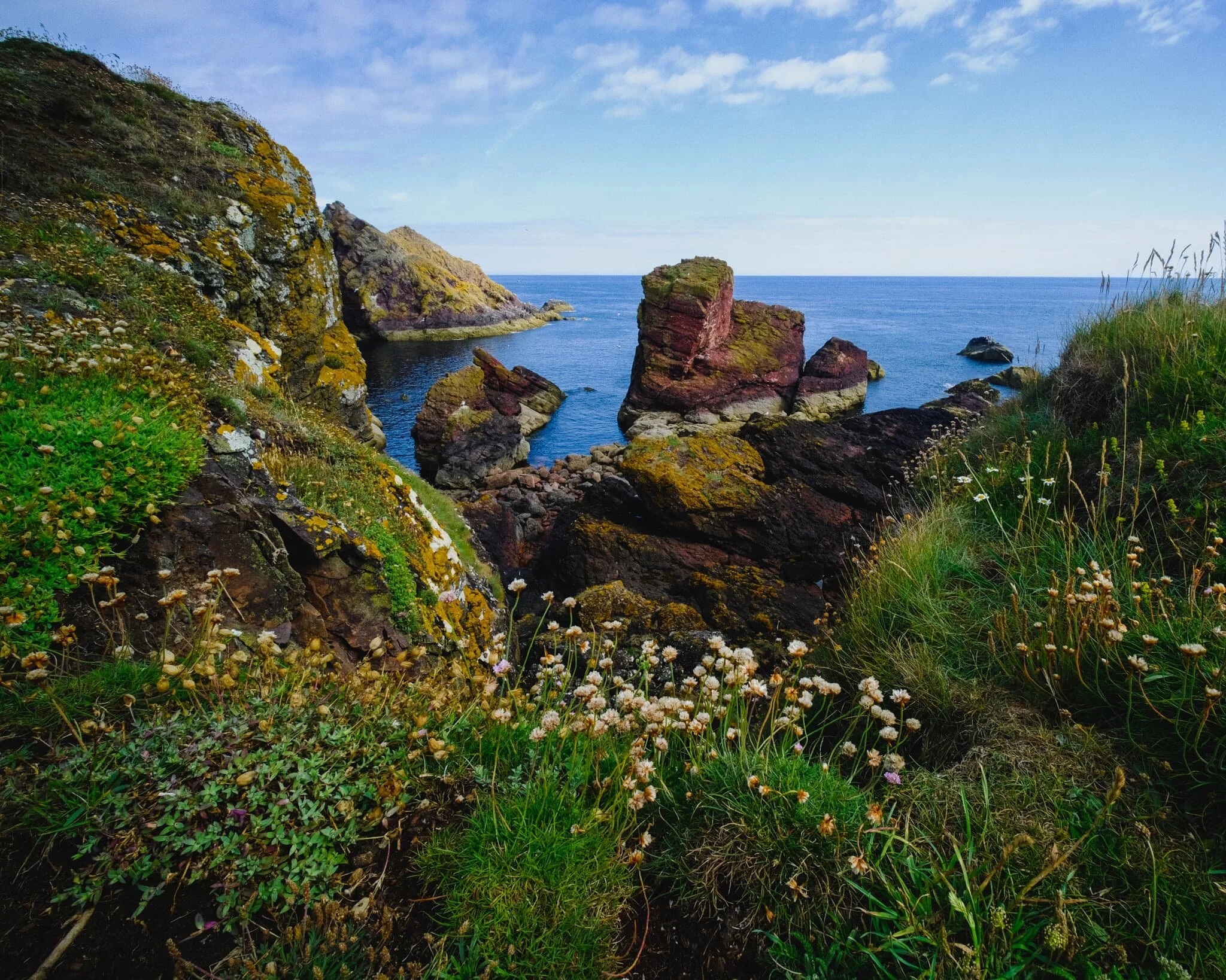  At Horsecastle Bay,  this  scene presents itself to us. In fact, as it came into view, Lisabet heard me mutter, &ldquo;Oh, fuck off!&rdquo; Wildflowers adorn the cliff edge, framing the various rocks in the bay and the curious boot-shaped red sea stack. 