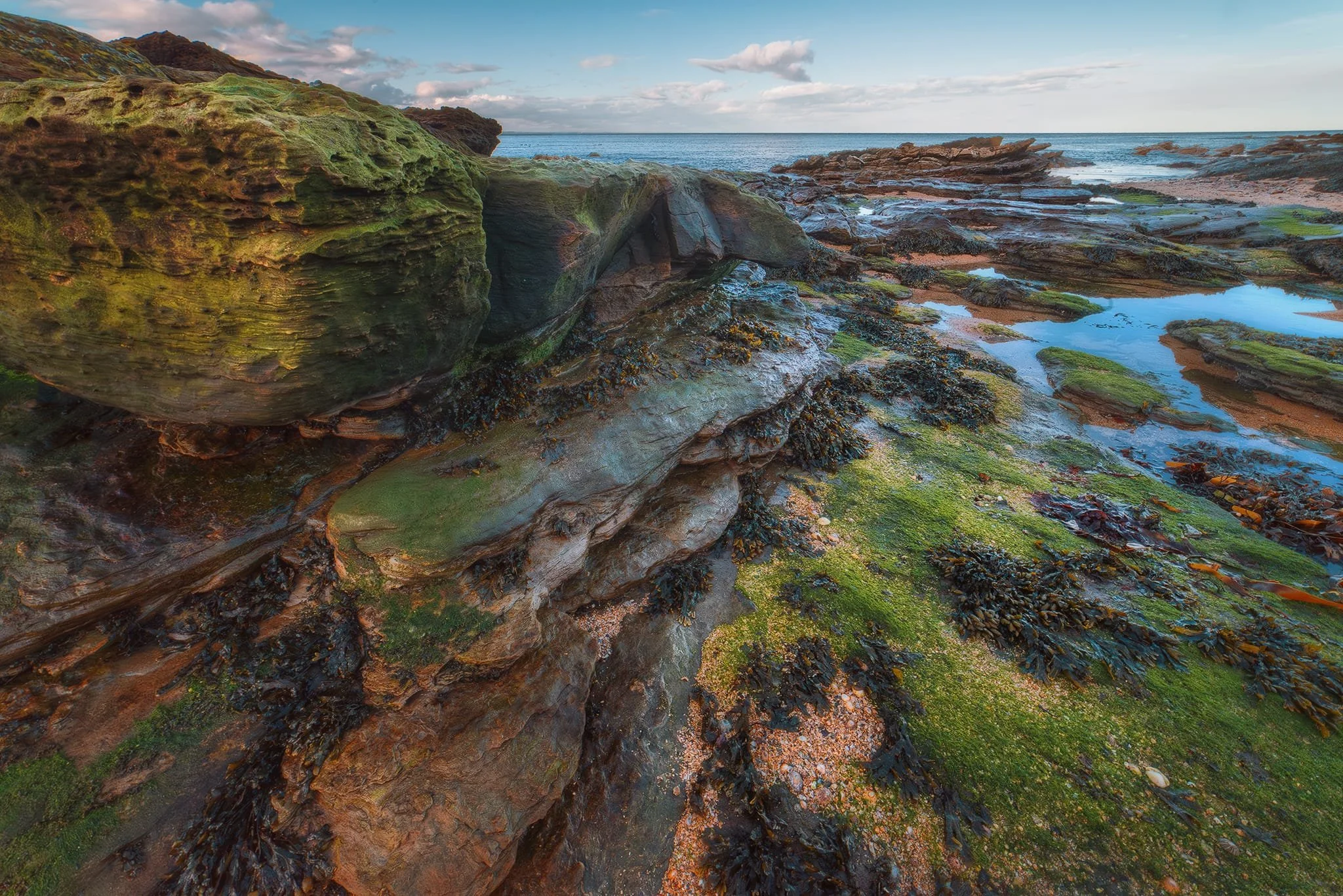  As sunset neared we followed the coast west of St Andrews to Buddo Ness to find another  ancient sea cave , called Buddo Rock. With the tide out, various formations covered in algae and seaweed revealed themselves for some compositional fun. 