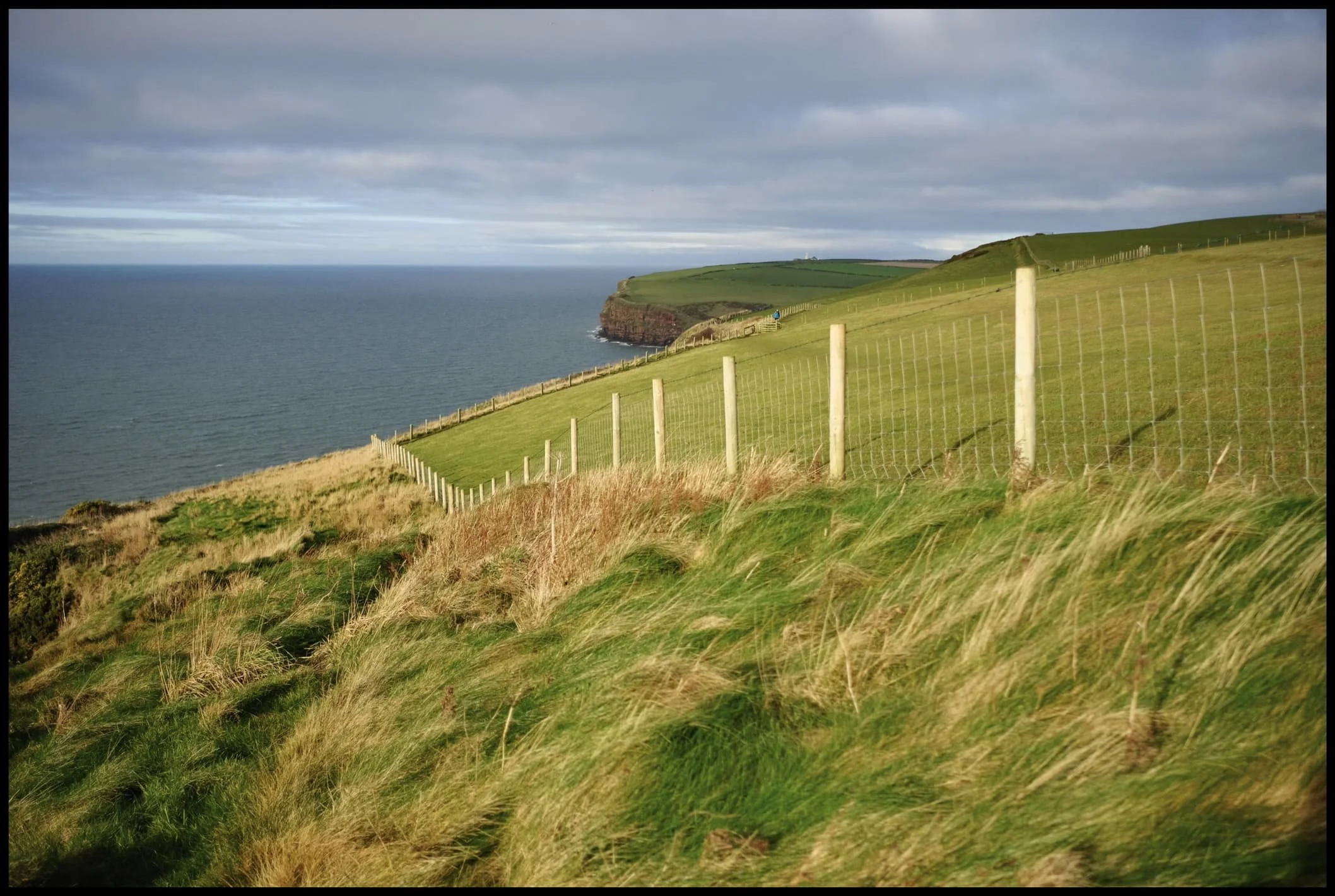  Despite the heavy cloud cover, the light conditions were being very cooperative.  
